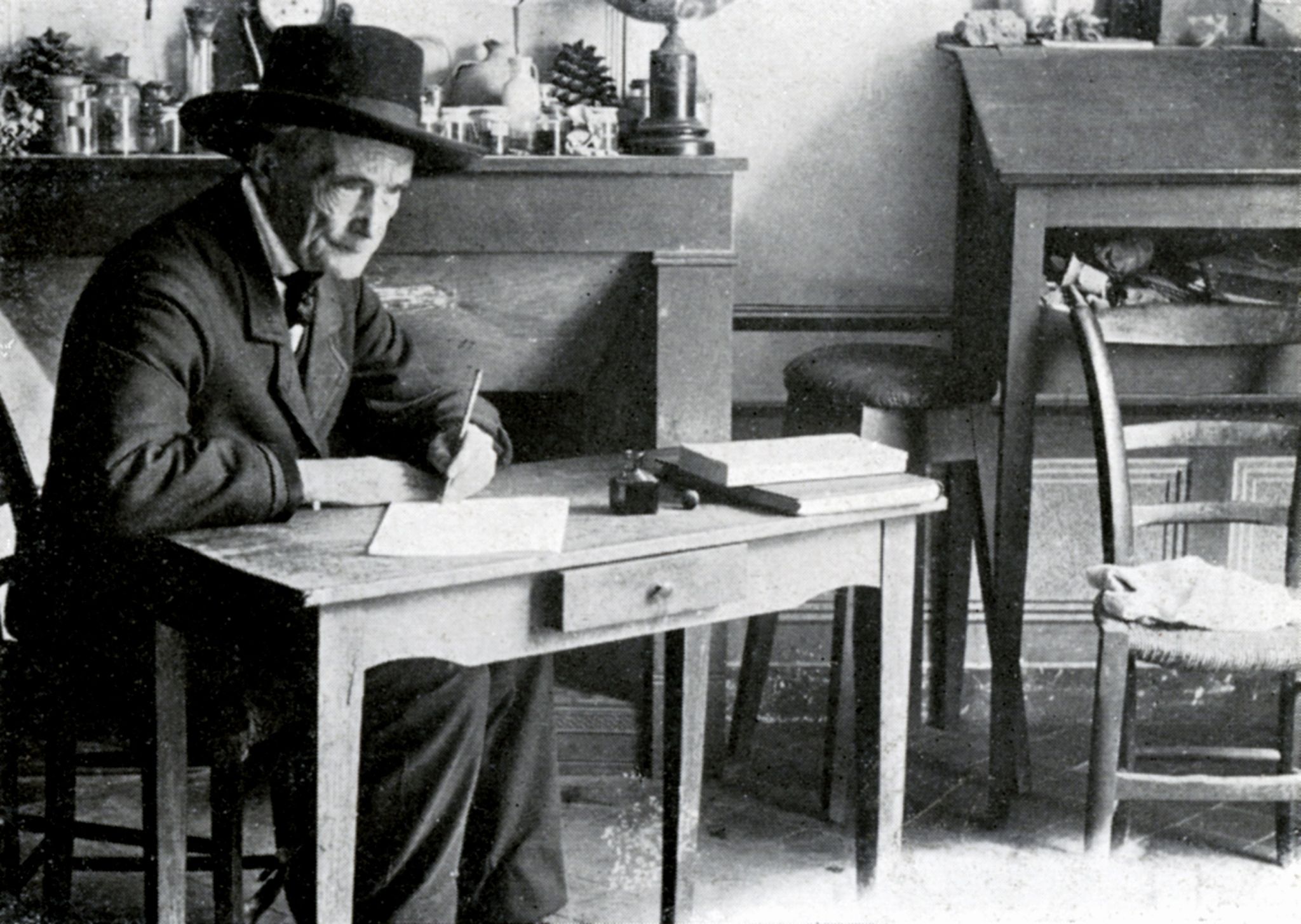 《昆虫记》的读后感400字