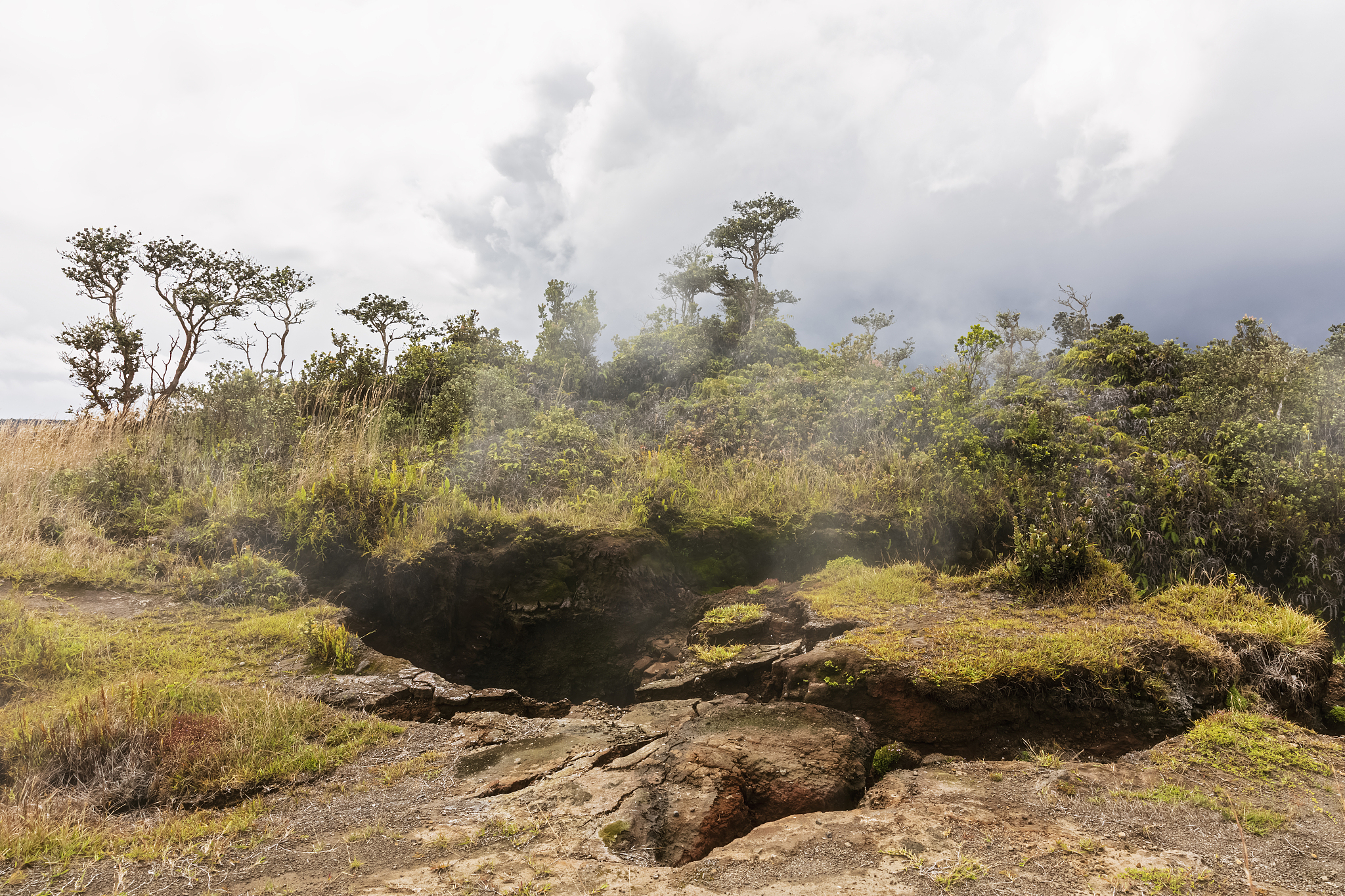 几劳亚活火山,火山口,美国,夏威夷大岛,风管,太平洋岛屿,<strong>世界</strong>遗产