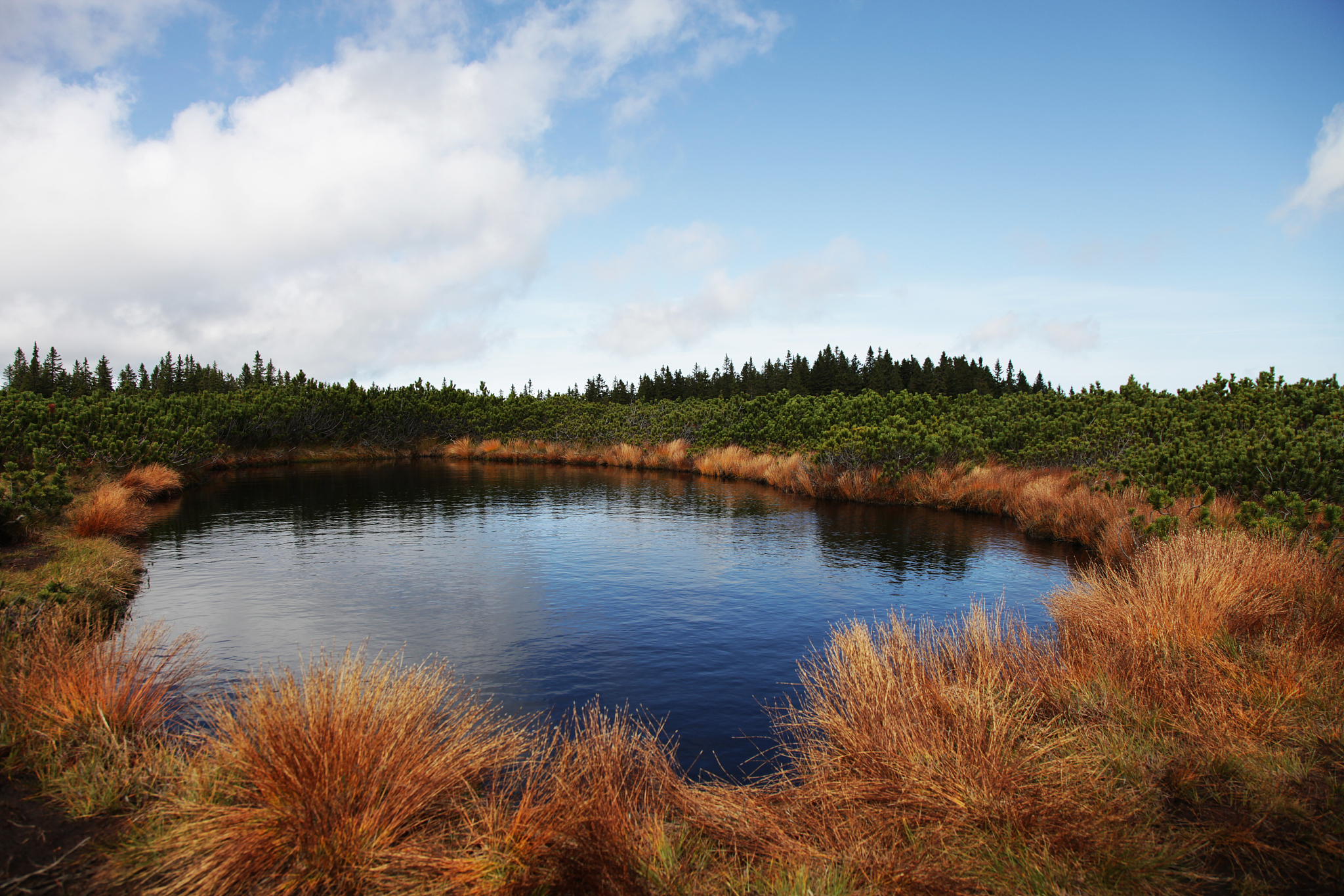 湖北传媒摄影技师学院2023年怎么样受欢迎不 怎么样