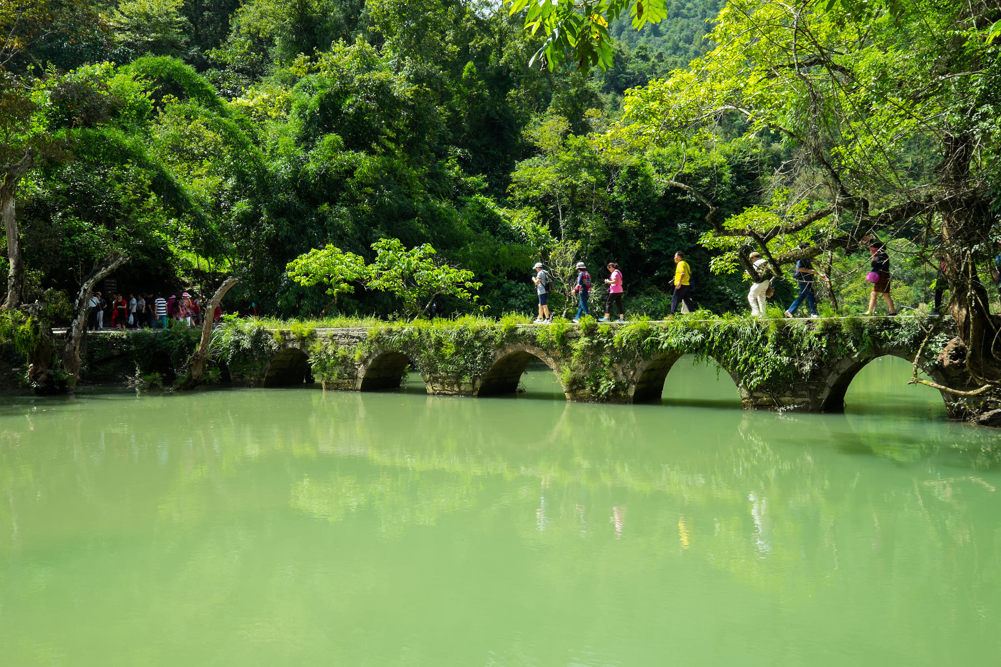 桂林风帆旅游学校2023年开设了什么专业-怎么样