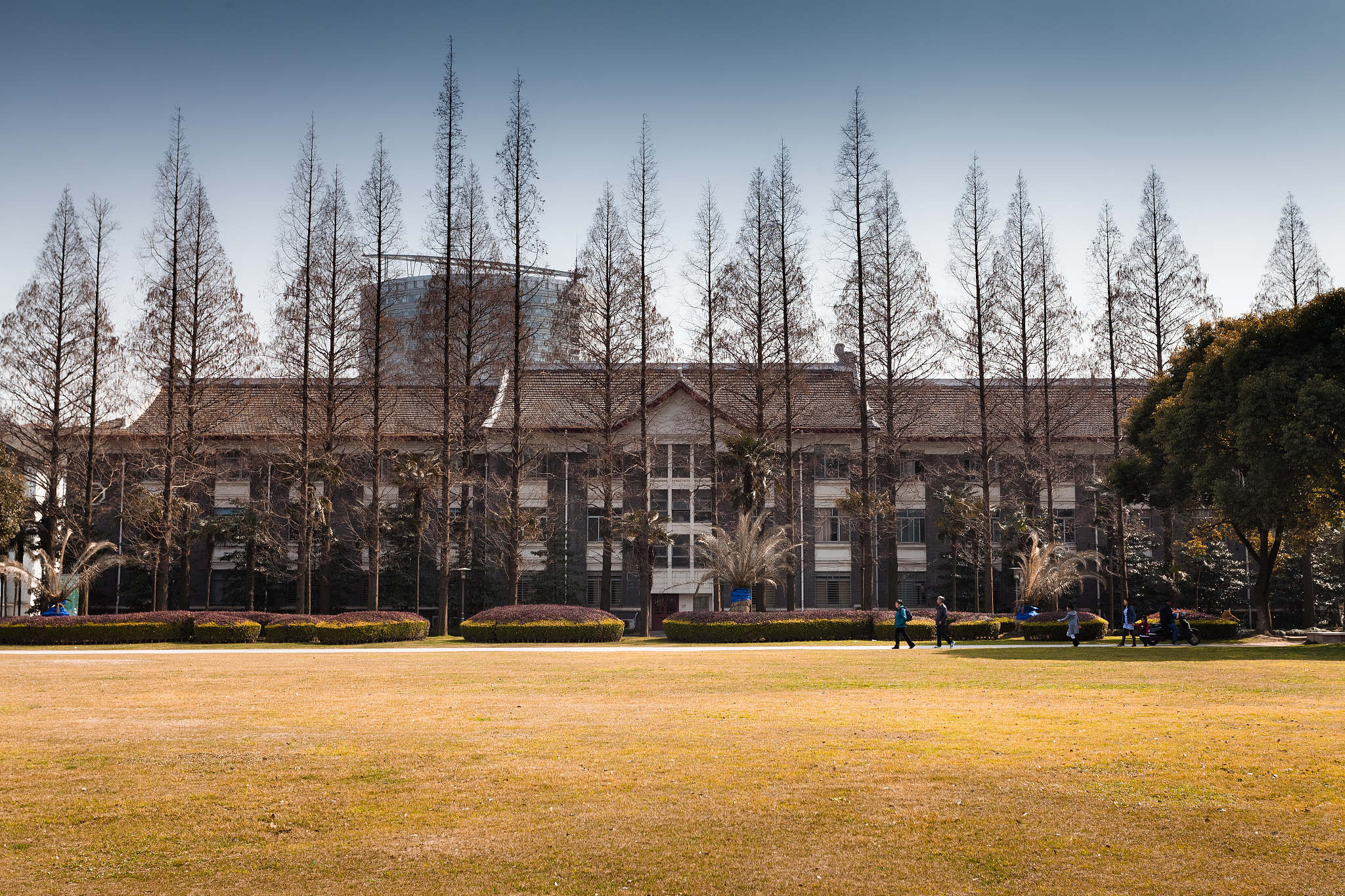 复旦大学的创立为学生带来了什么