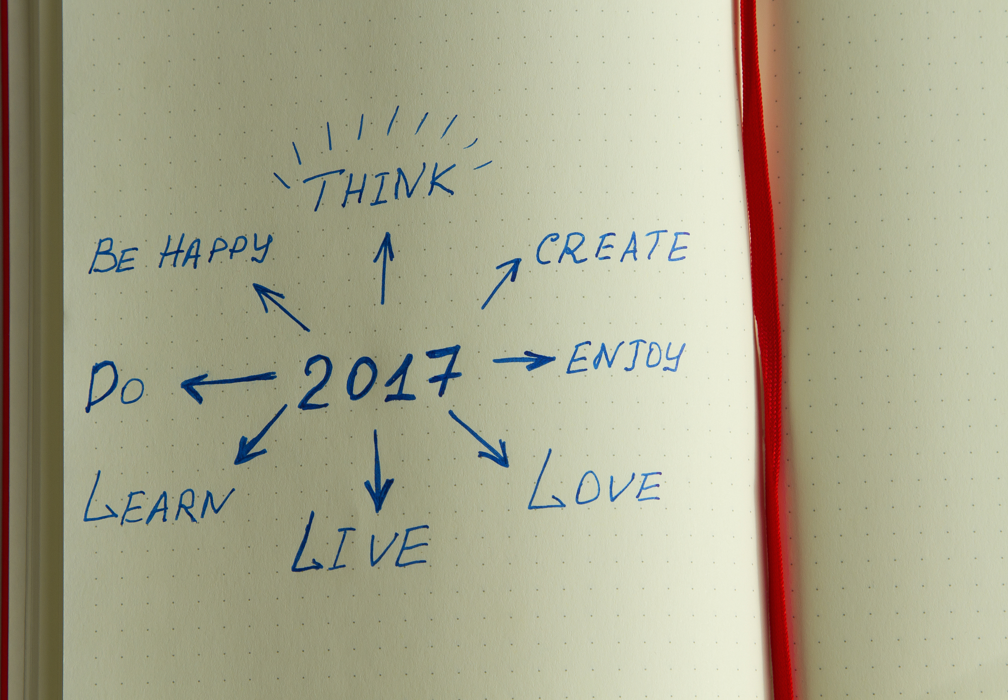 goals for 2017 written in the organazer