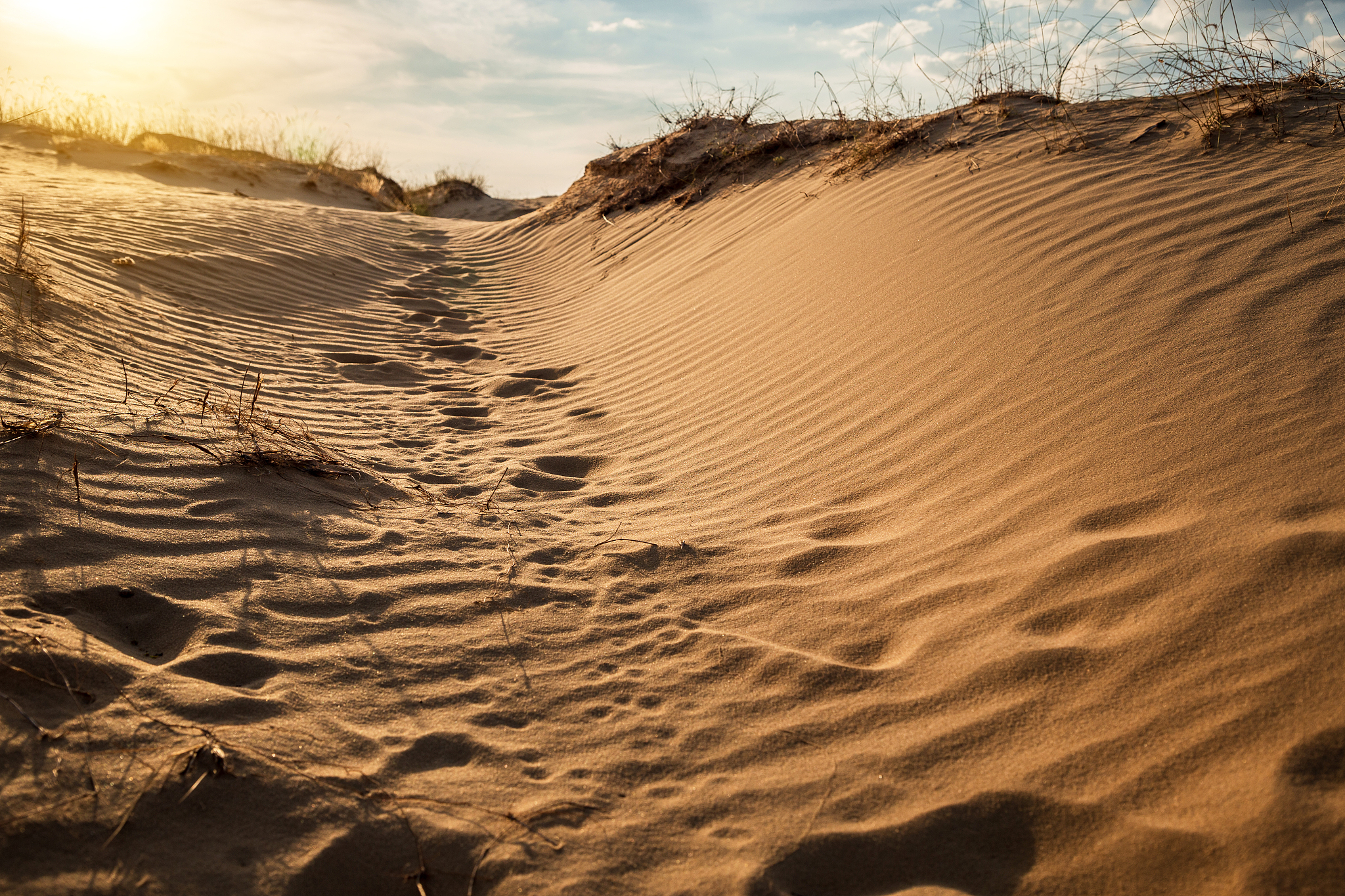 beautiful desert landscape with dunes. walk on a sunny day on th
