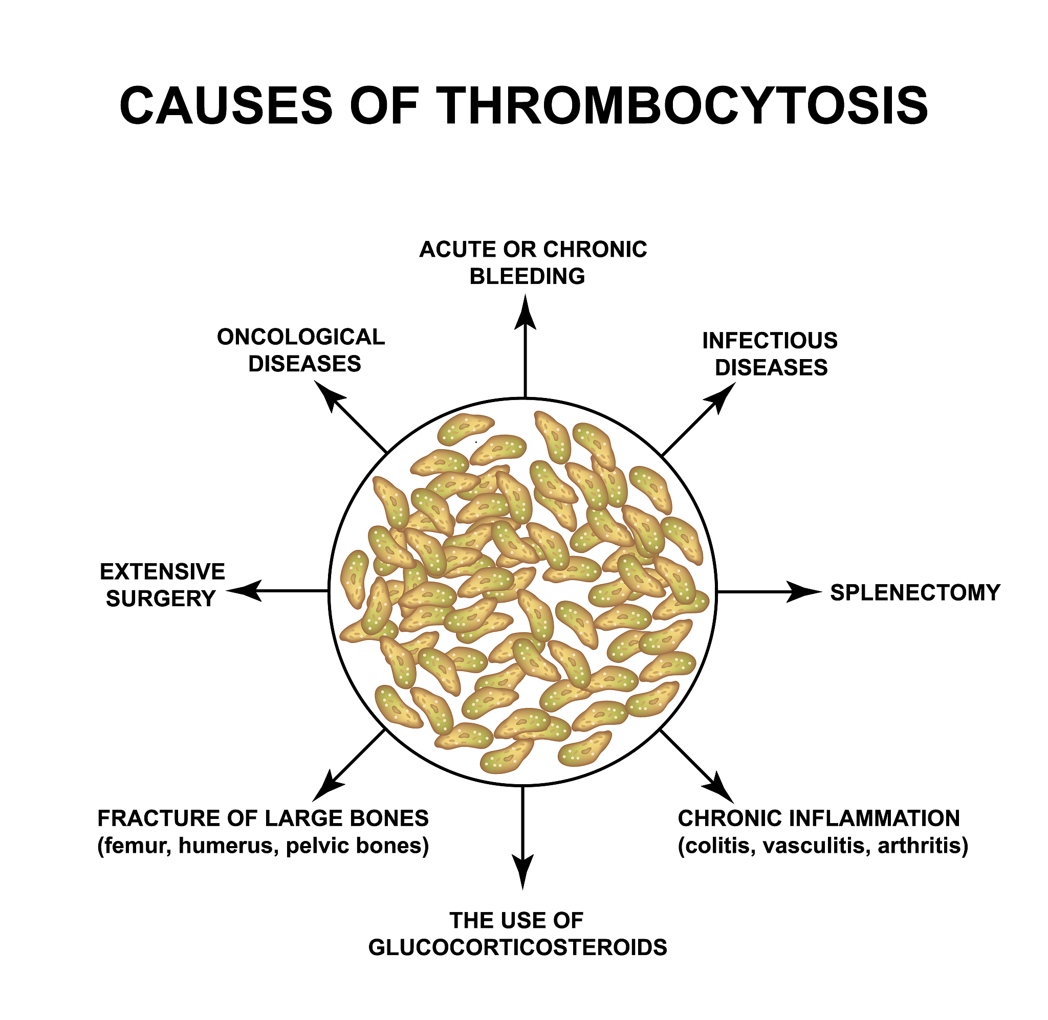 在《Biochimica et Biophysica Acta - Bioenergetics》上发表的5大理由