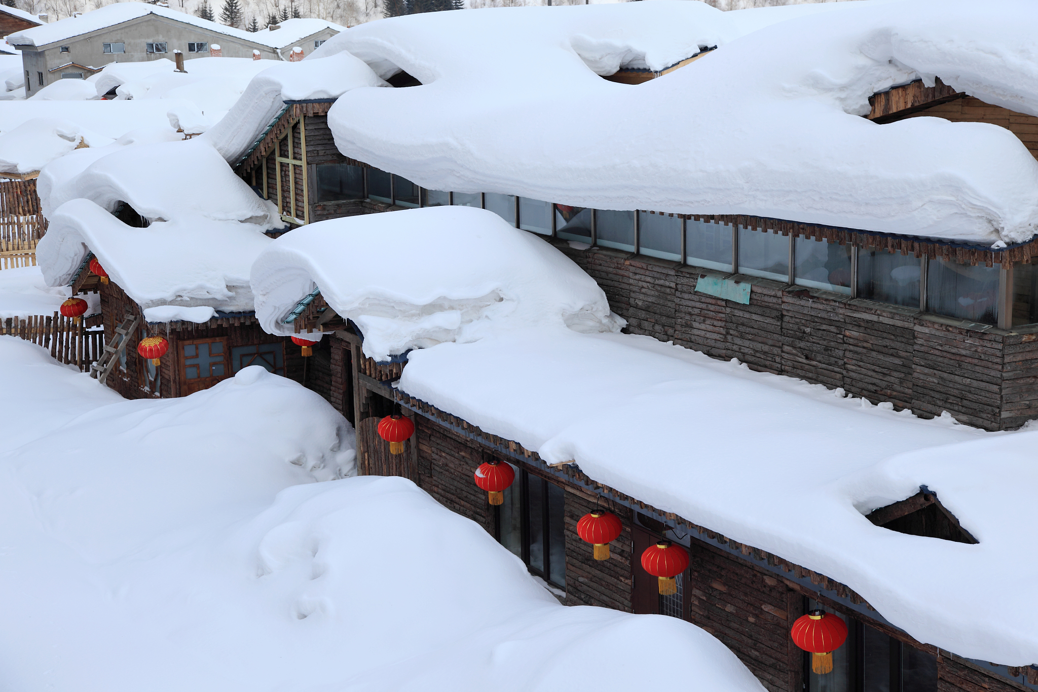 你是一个博主将如何介绍河北的新雪国