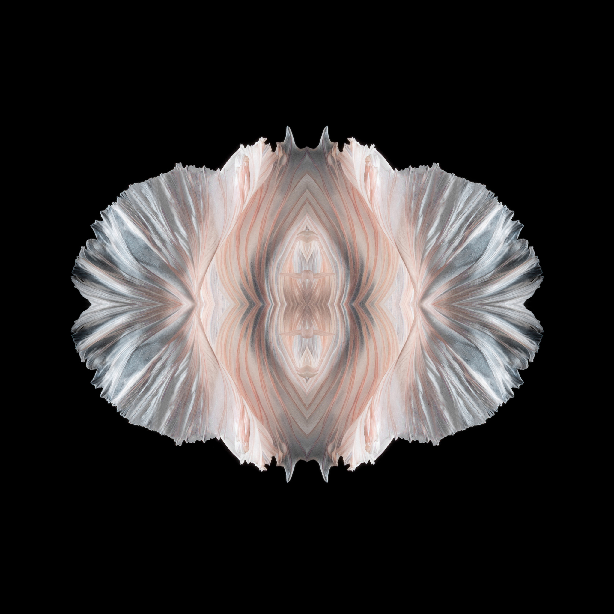 give some logic suggestion for this speech transcript from logiccontents languageThe traditional Chinese culture I want to introduce is Kunqu Opera Kunqu Opera formerly known as Kunshan Tune or Kunqia