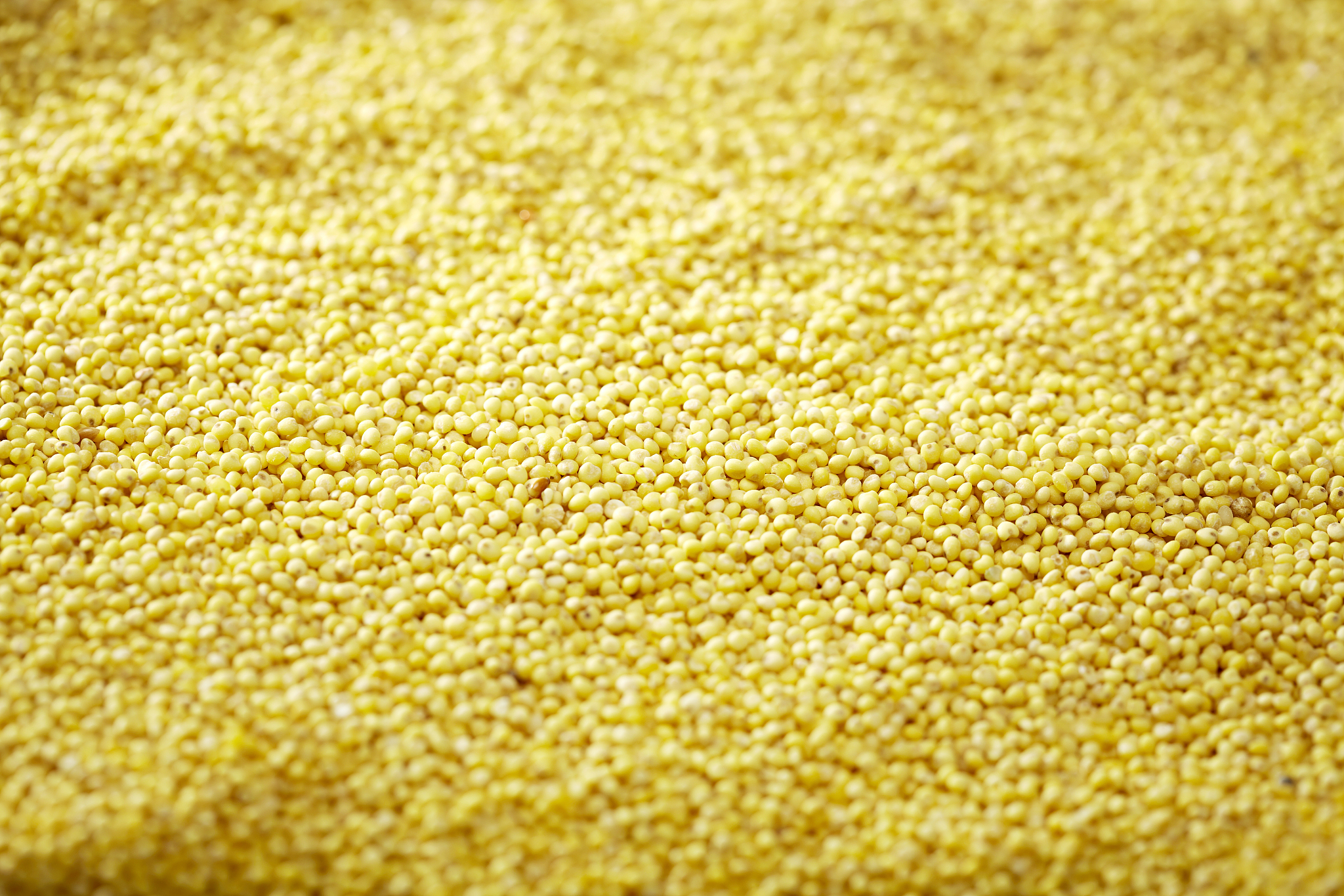 full frame shot of yellow kernels
