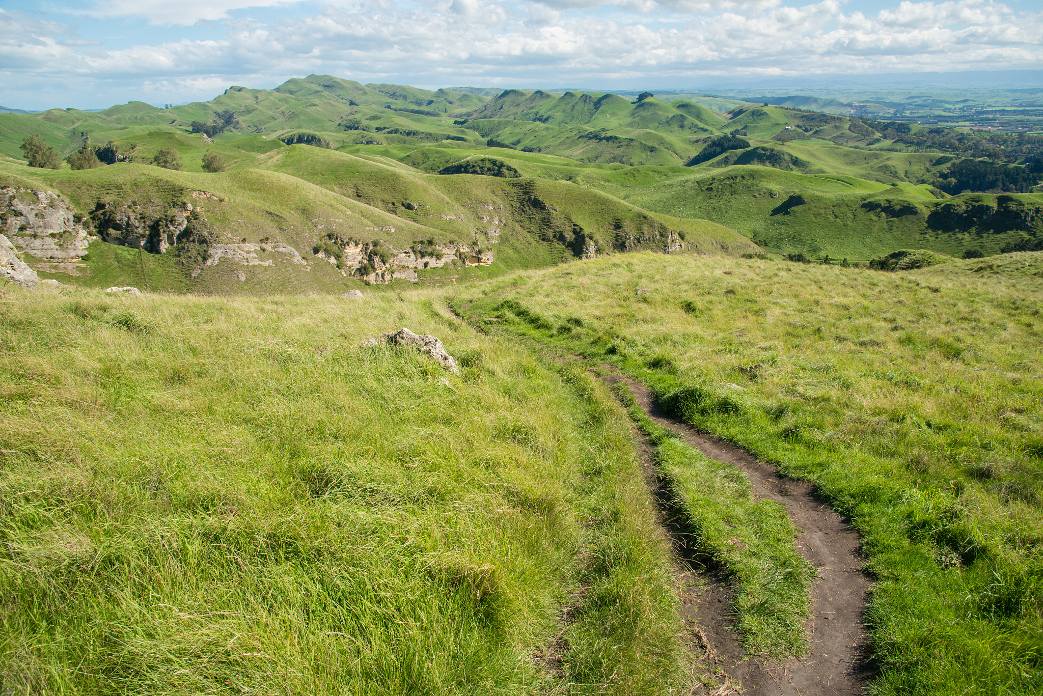 the scenic landscape view of heretaunga plains view from the sum