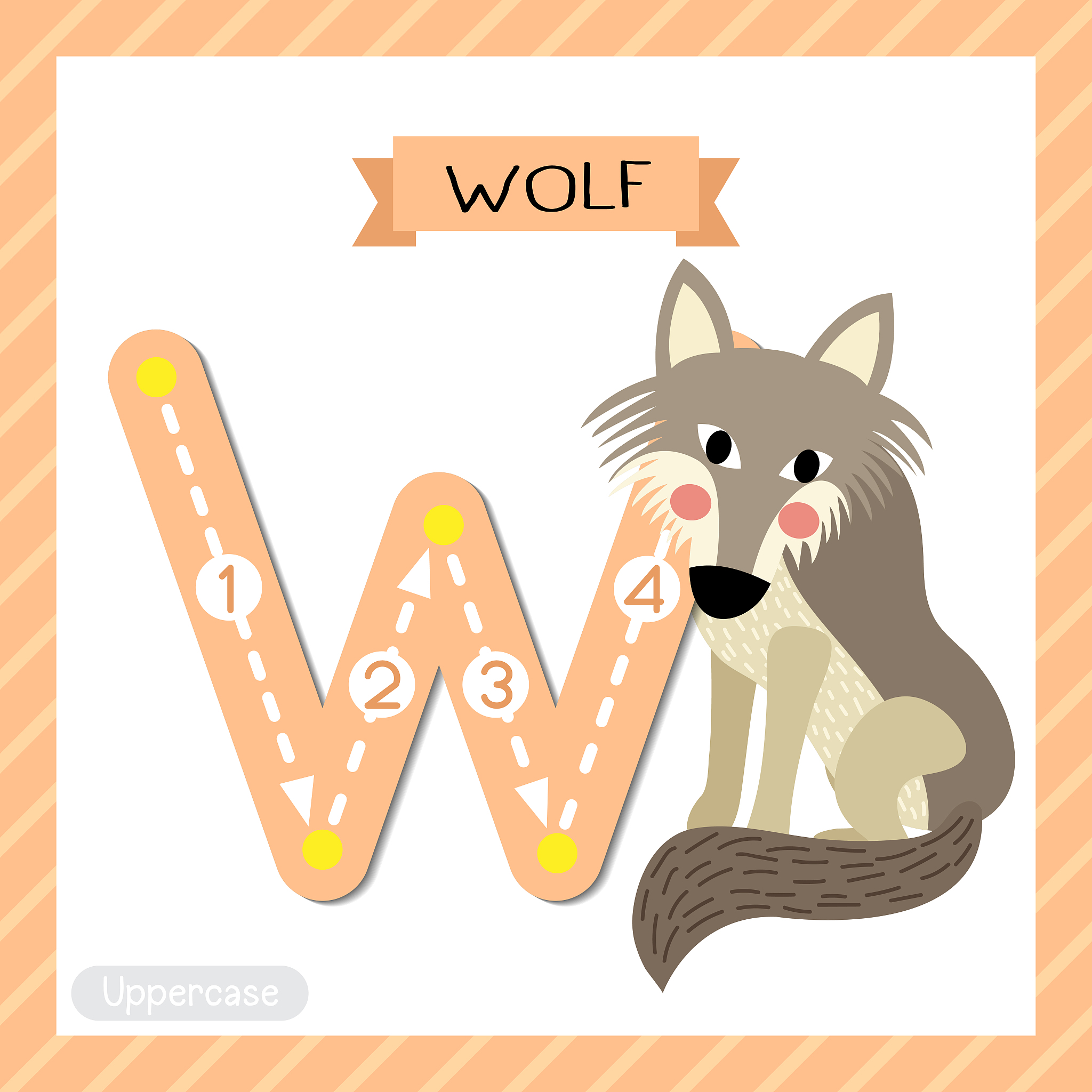 DUIW能组成什么单词？