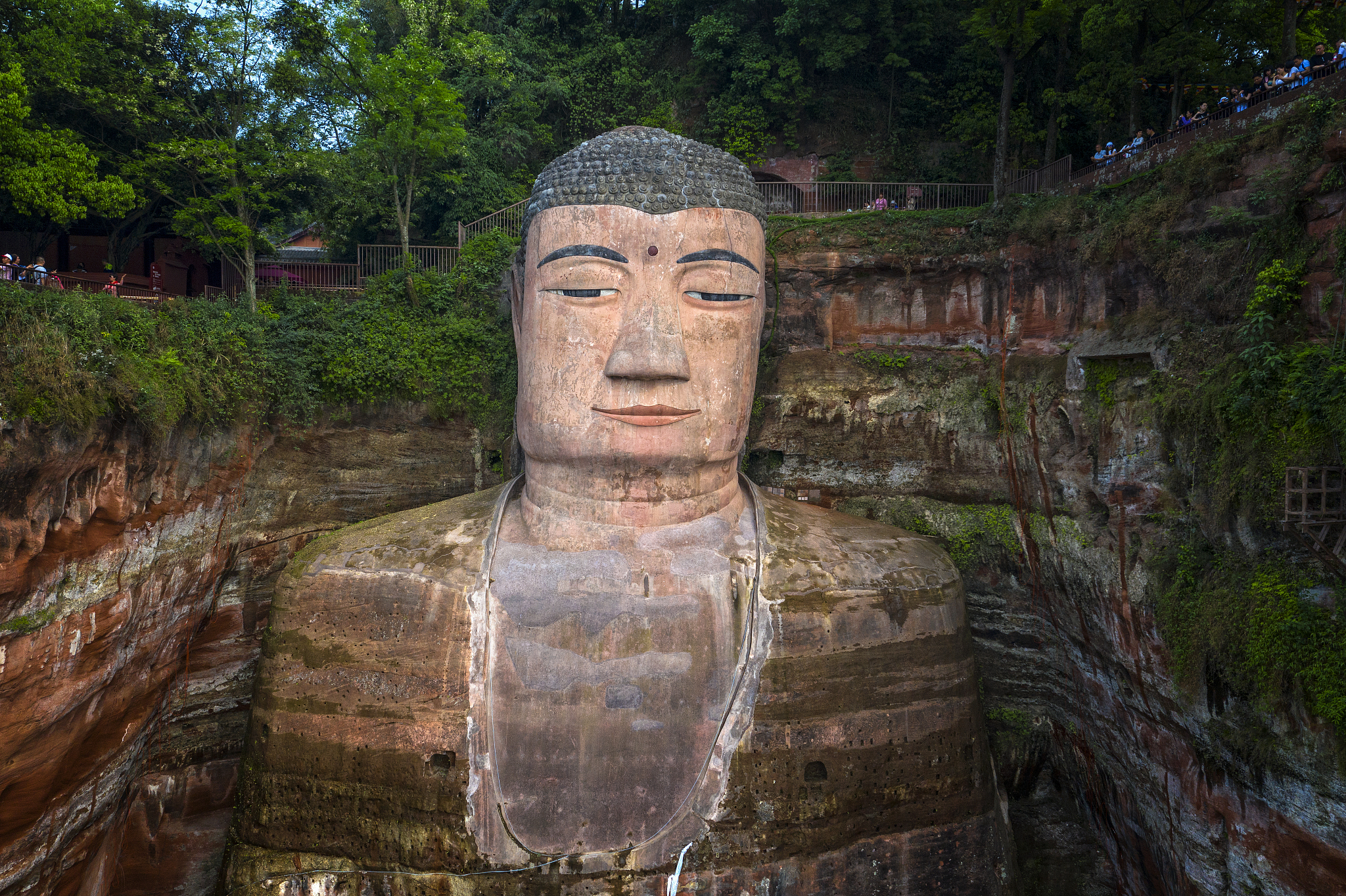 乐山大佛要门票吗