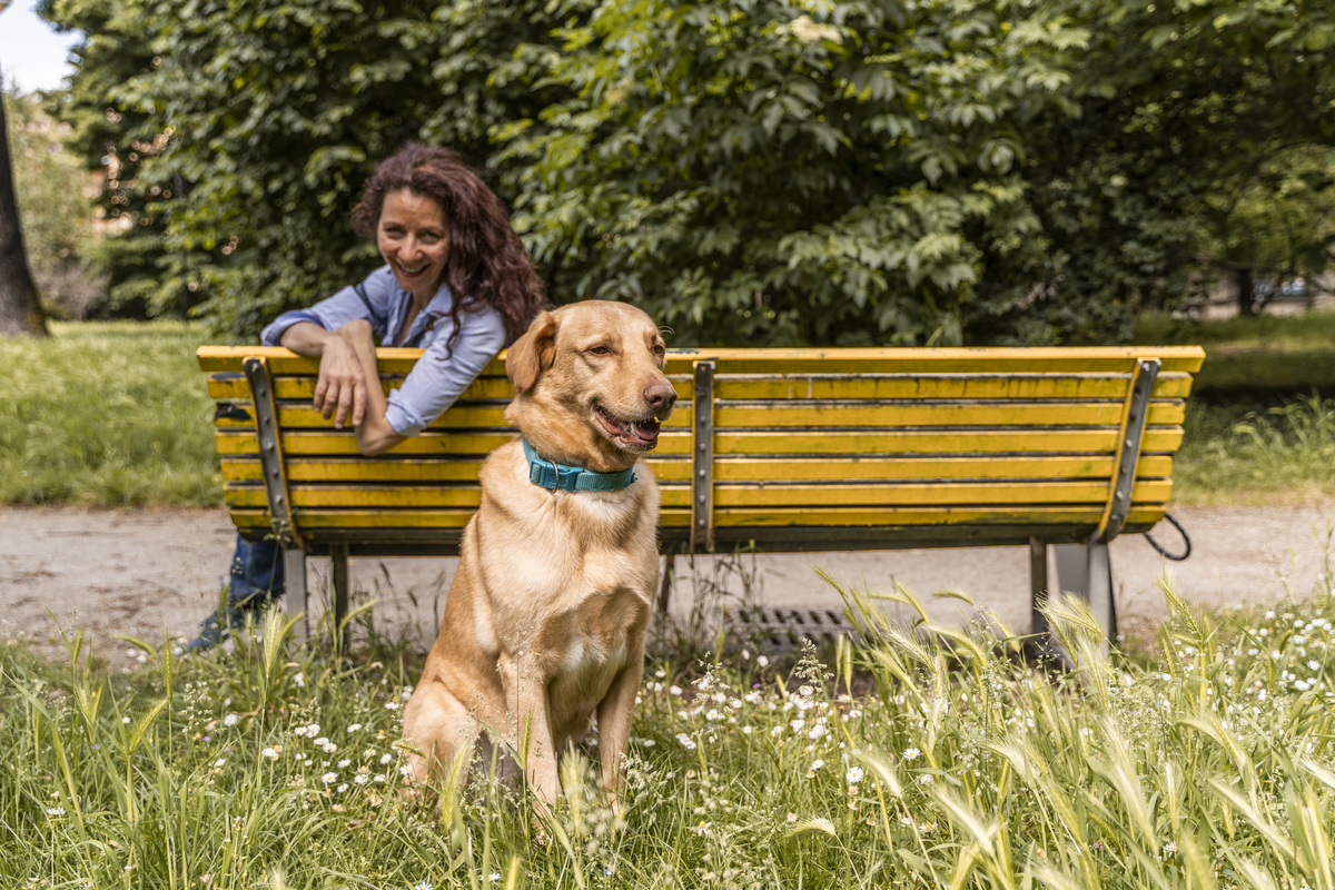 A Heartwarming Reunion: How a New Puppy Brought Joy Back to an Empty Nest