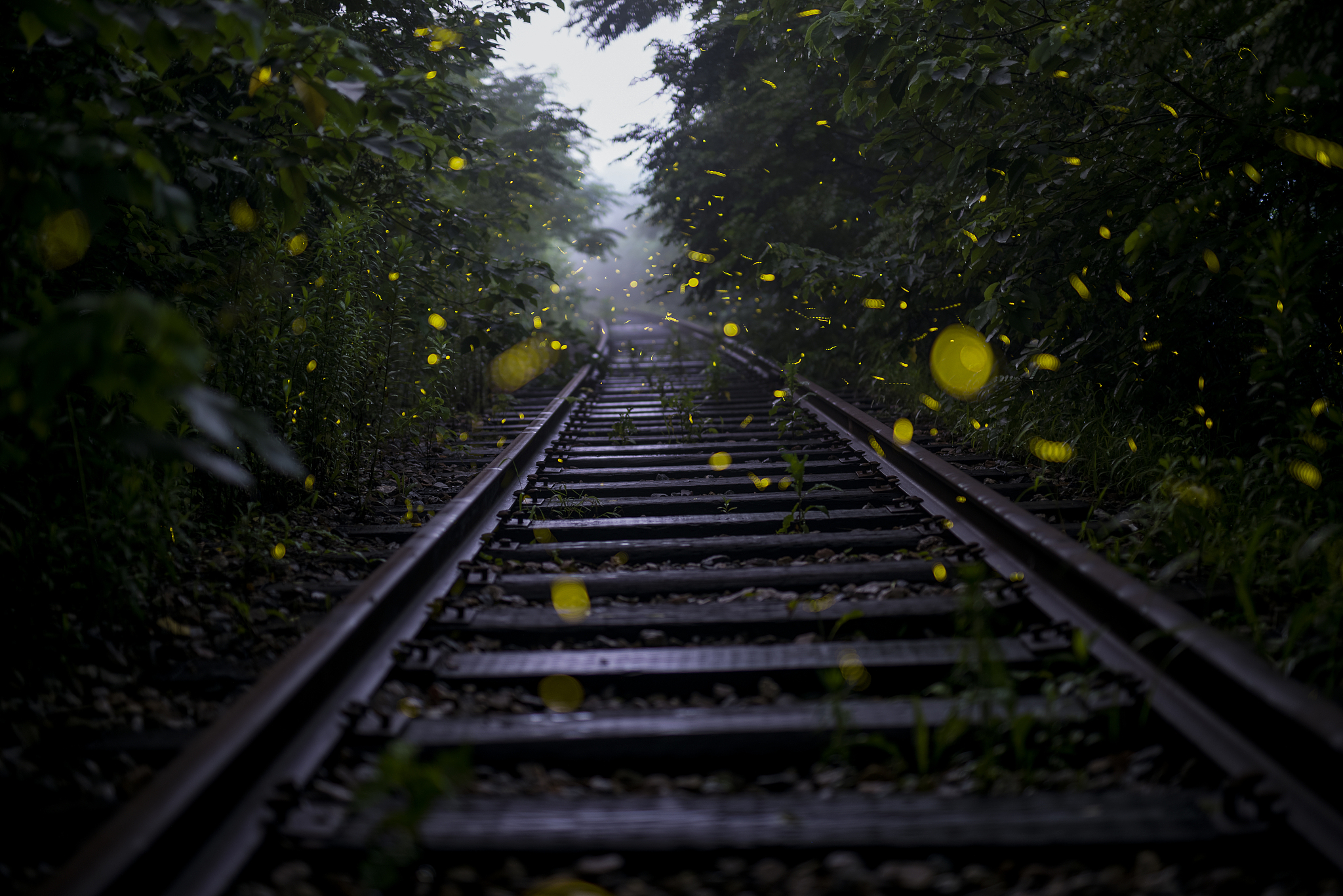 贵阳2020年以铁路学校为王牌专业的大专学校有哪些