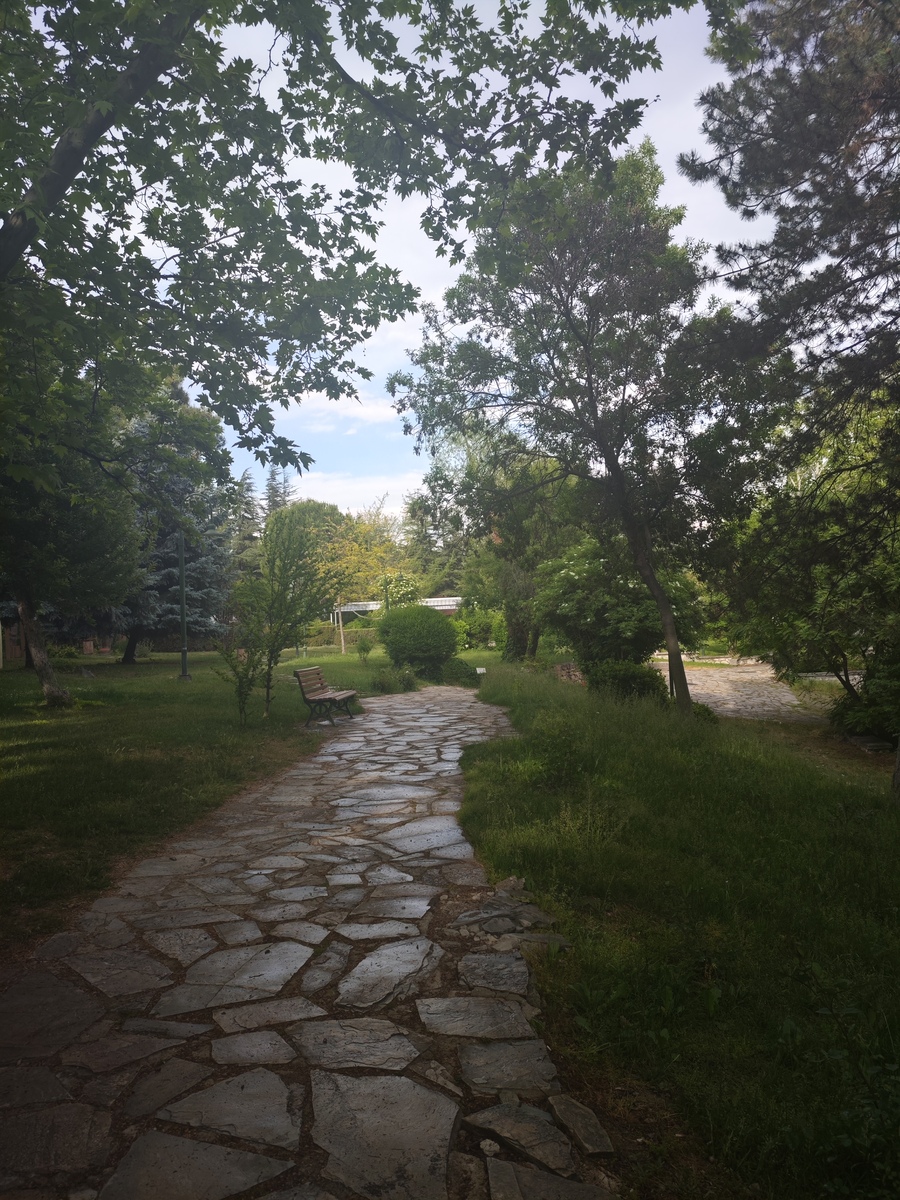 用镜头记录生活，留住美好瞬间：珍贵回忆的最佳方式