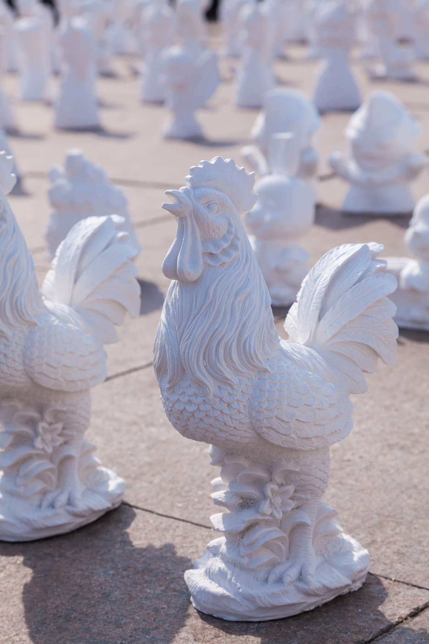 1993年12月29日出生的命运