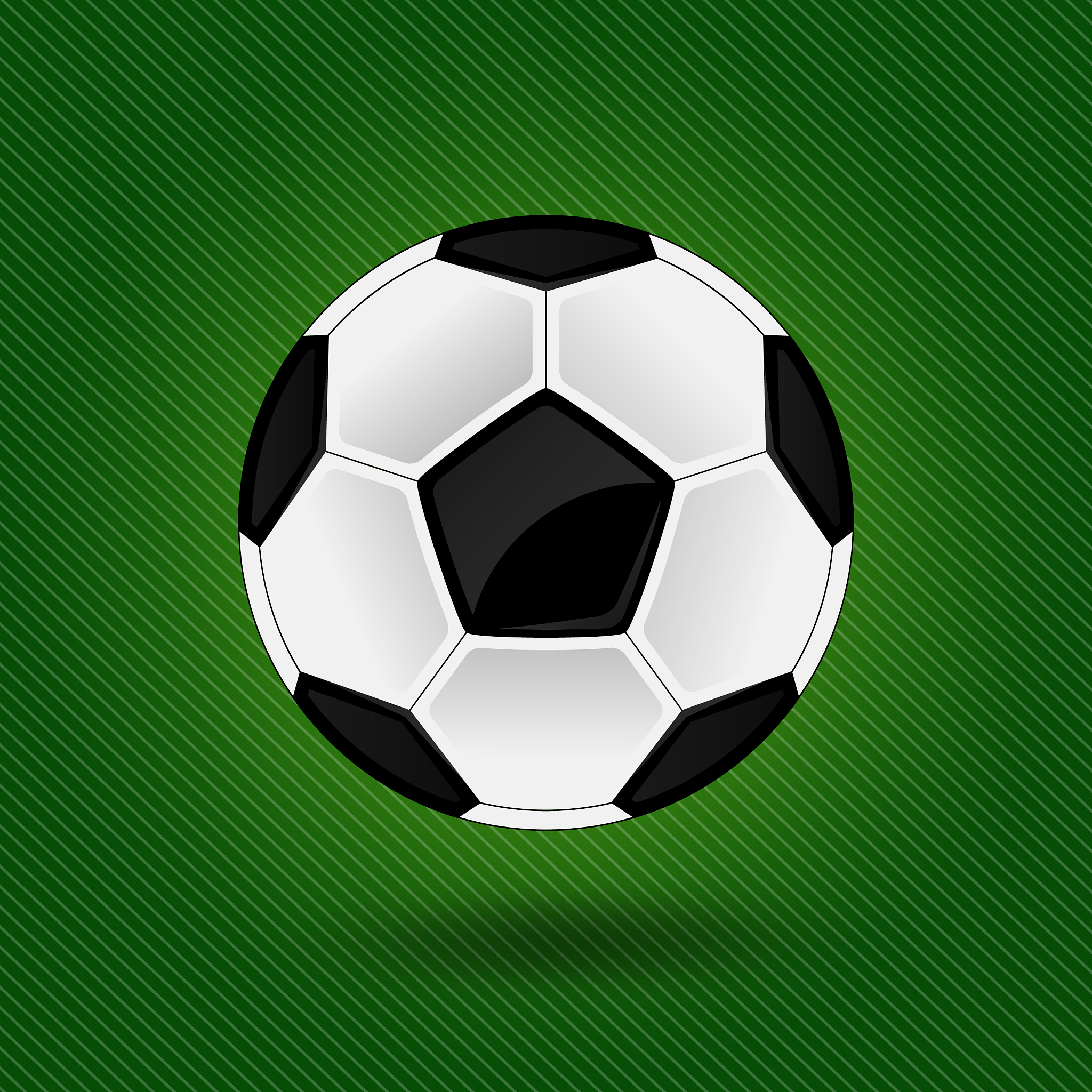a soccer ball