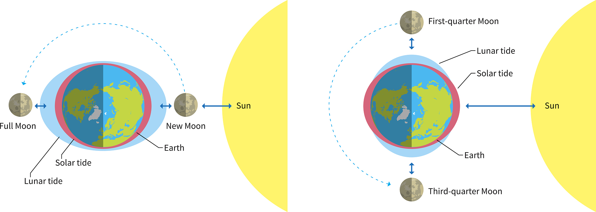 分潮：潮汐现象的奥秘