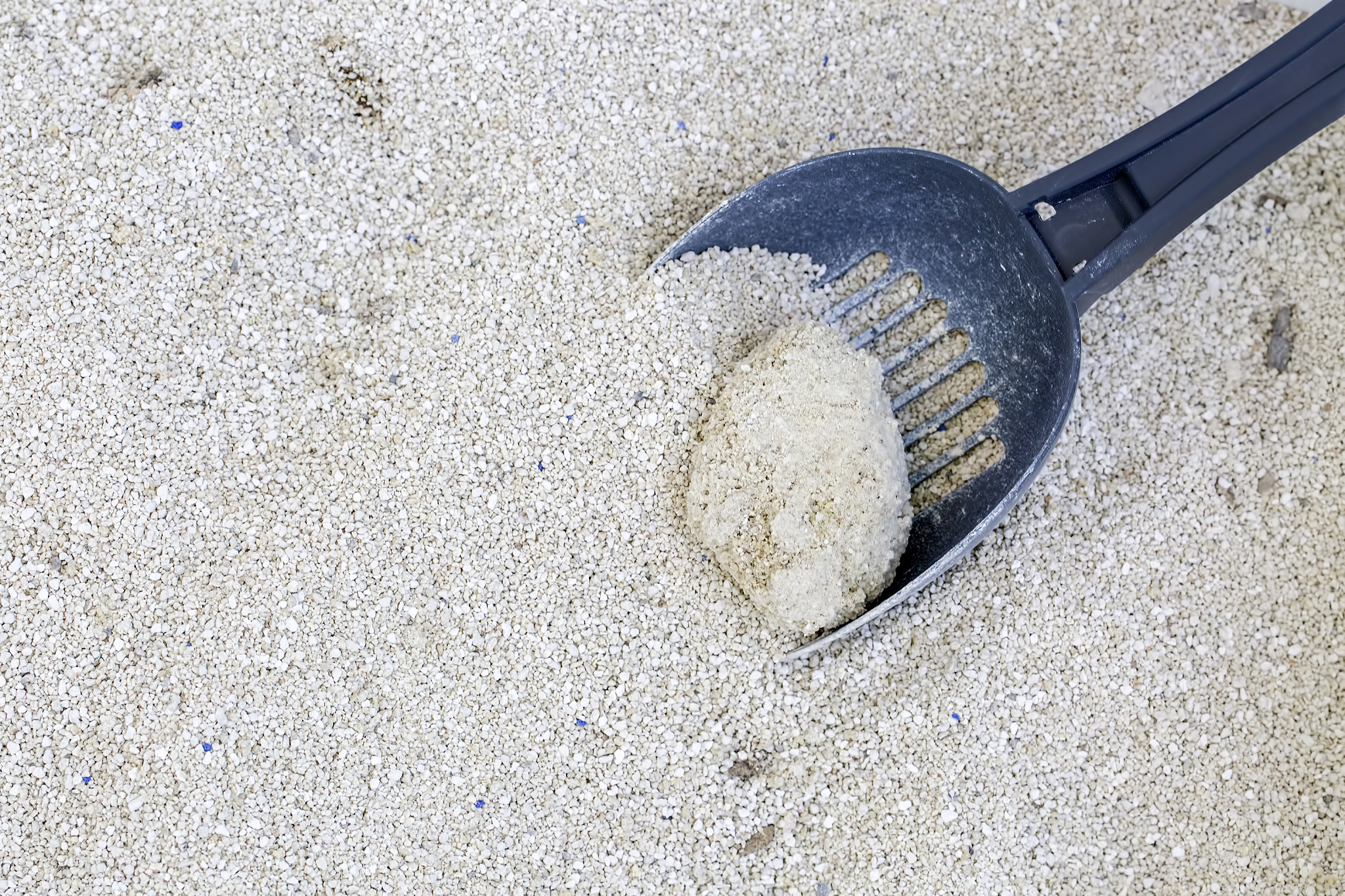 Urea Cargo Clumping: Causes, Inspection, and Recommendations