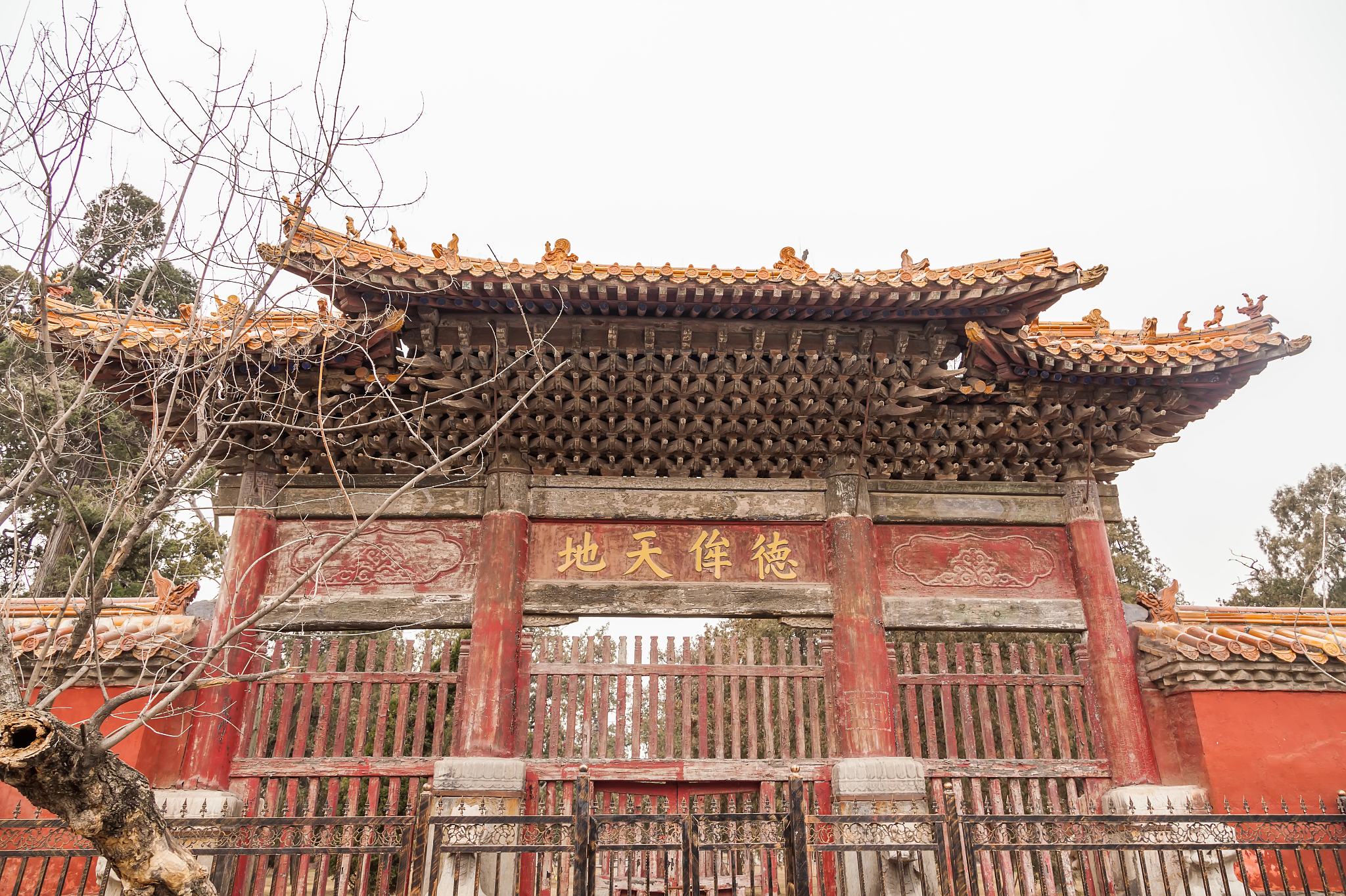 山东孔庙 50字文案