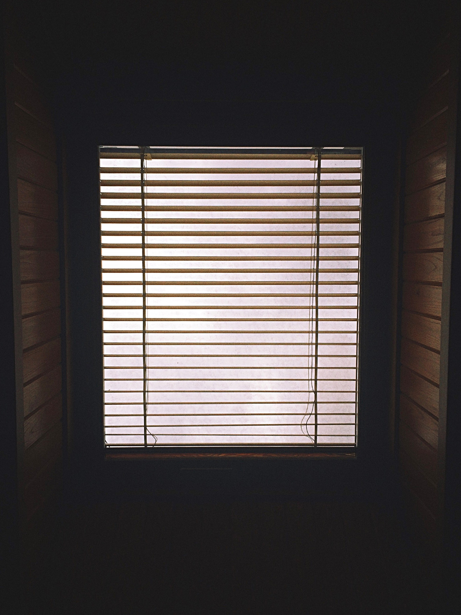 昏暗的环境有什么灭蚊或者驱蚊效果最好