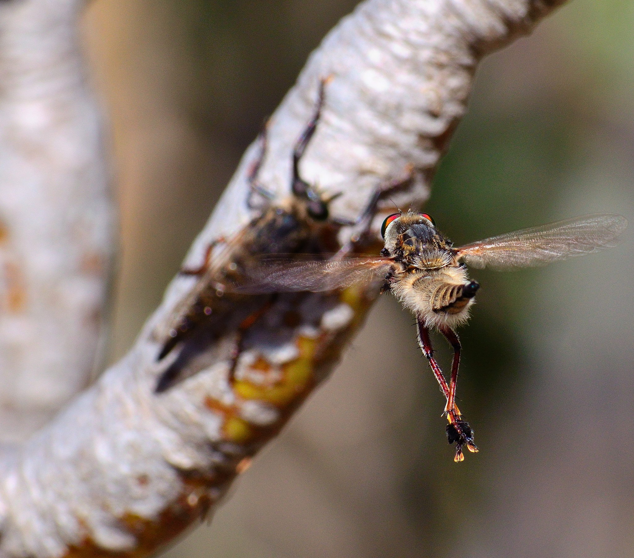 提出针对性的改进意见和建议不断优化生物习题设计模型提高习题的质量和适用性。