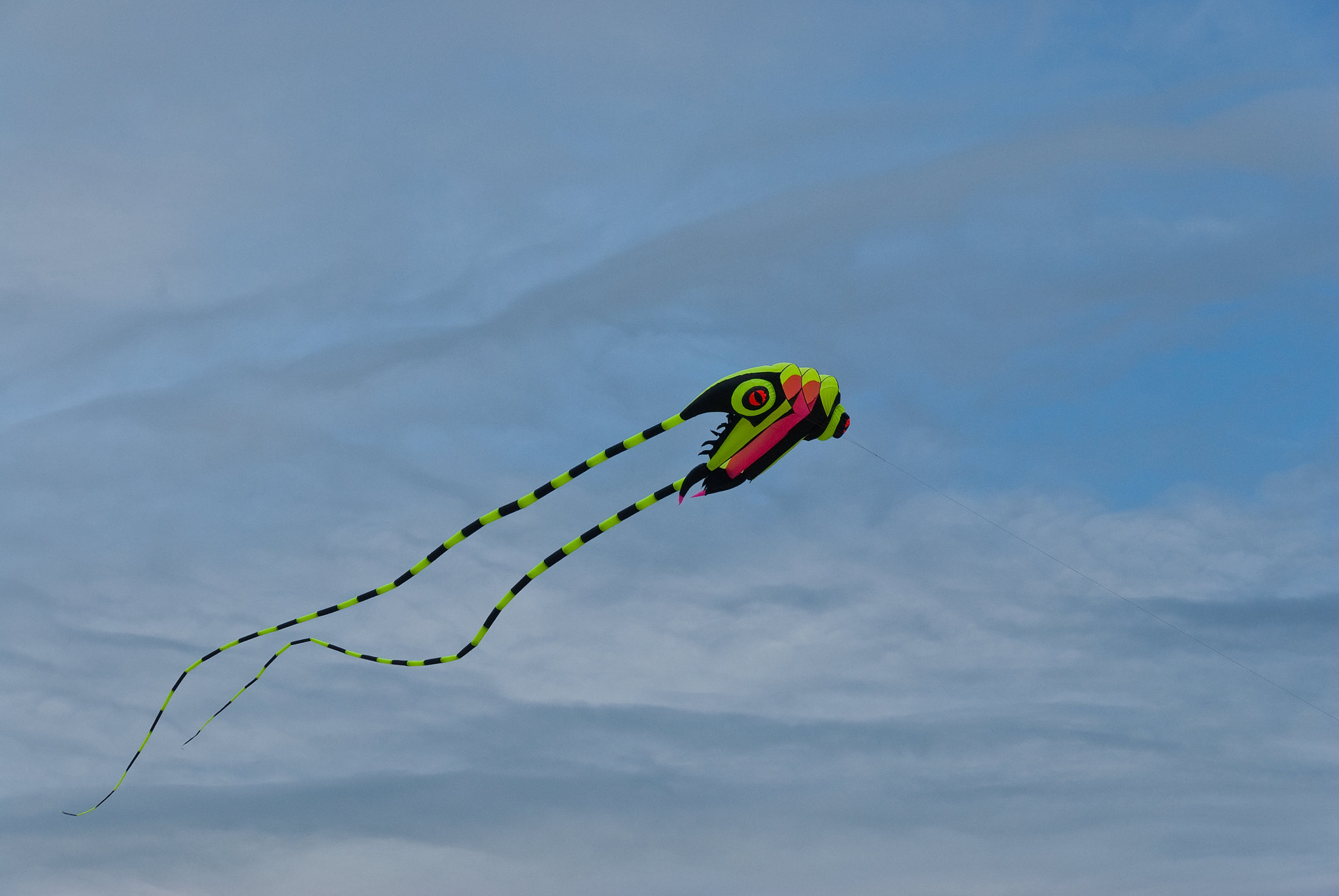 colorful kite