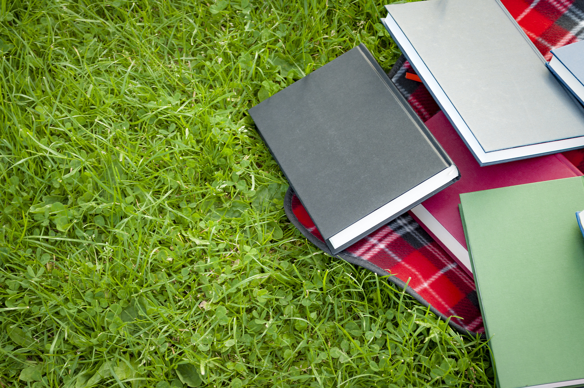 books on a blanket in a park with copyspace
