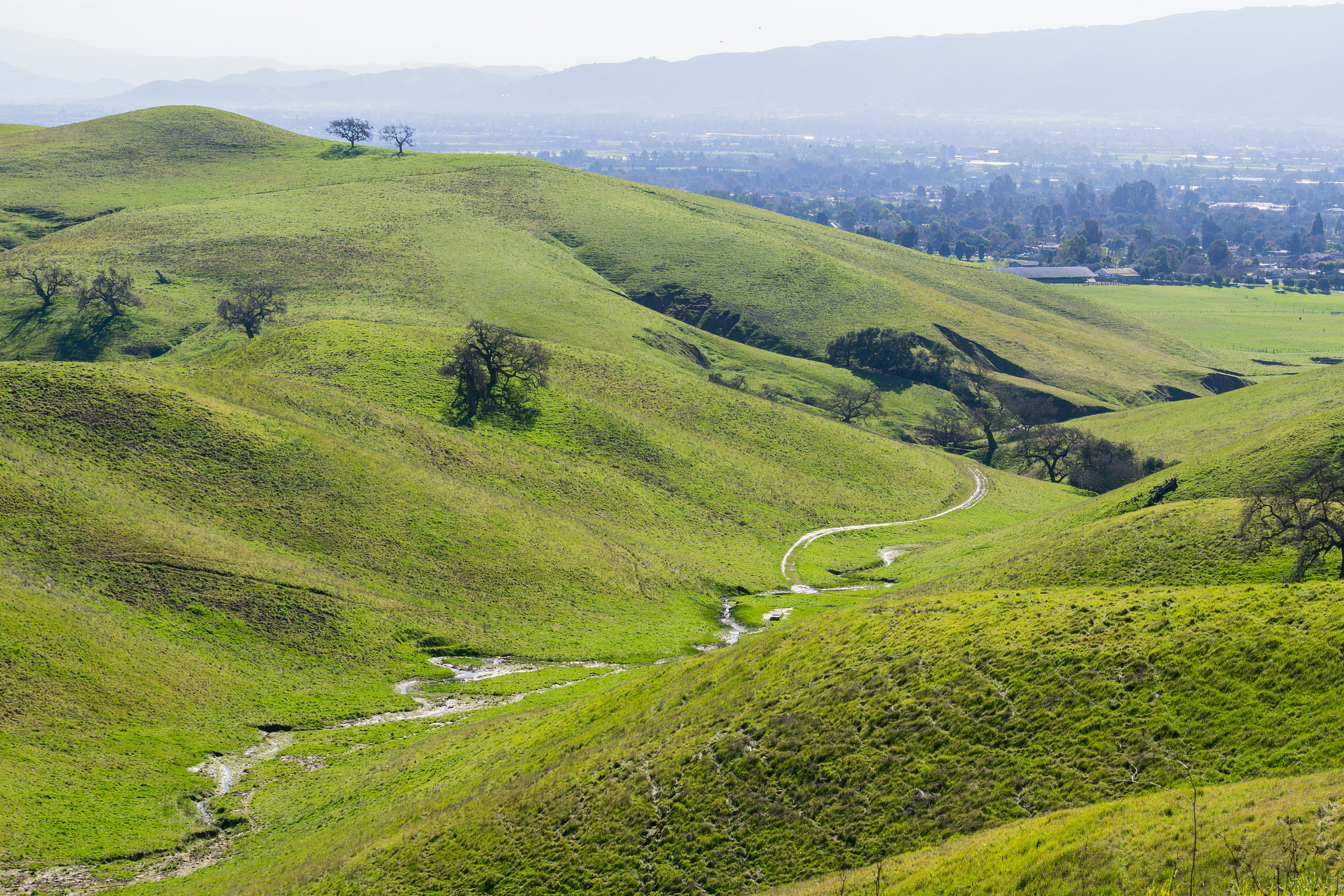 temporary creek flowing among the green hills and valleys in coy
