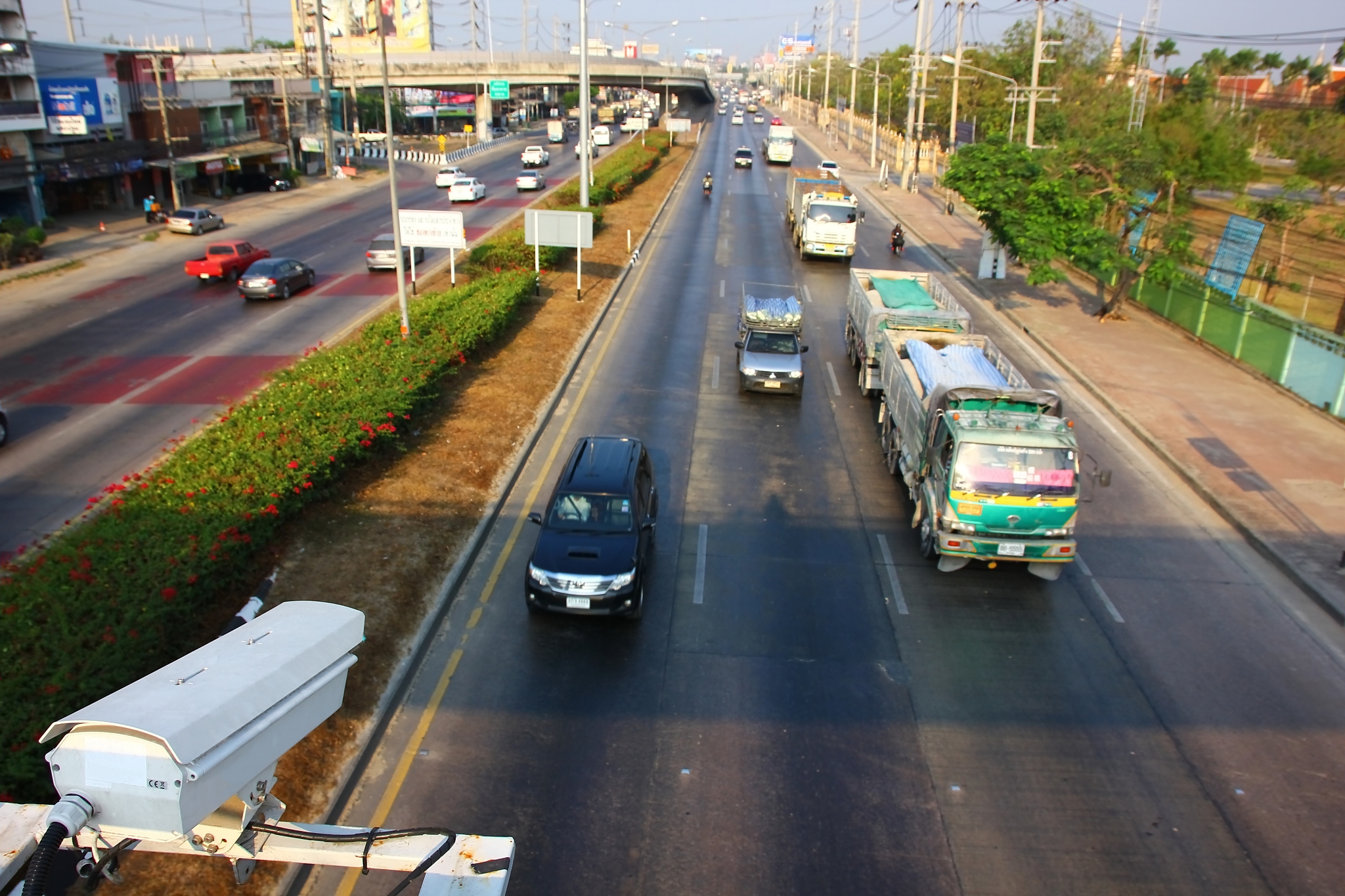 泰国交通法有多少号