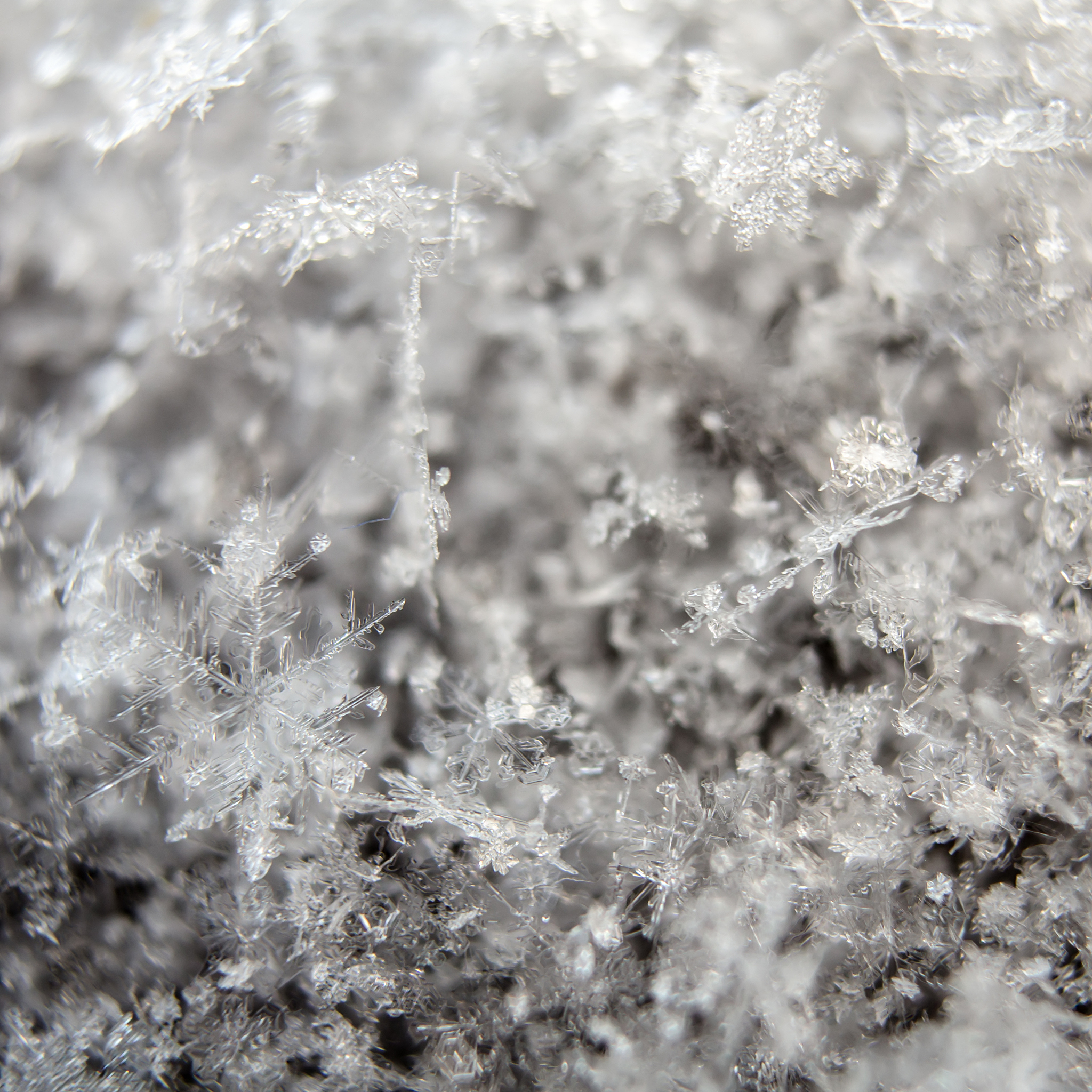 用科学语言解释雪为什么是白色的