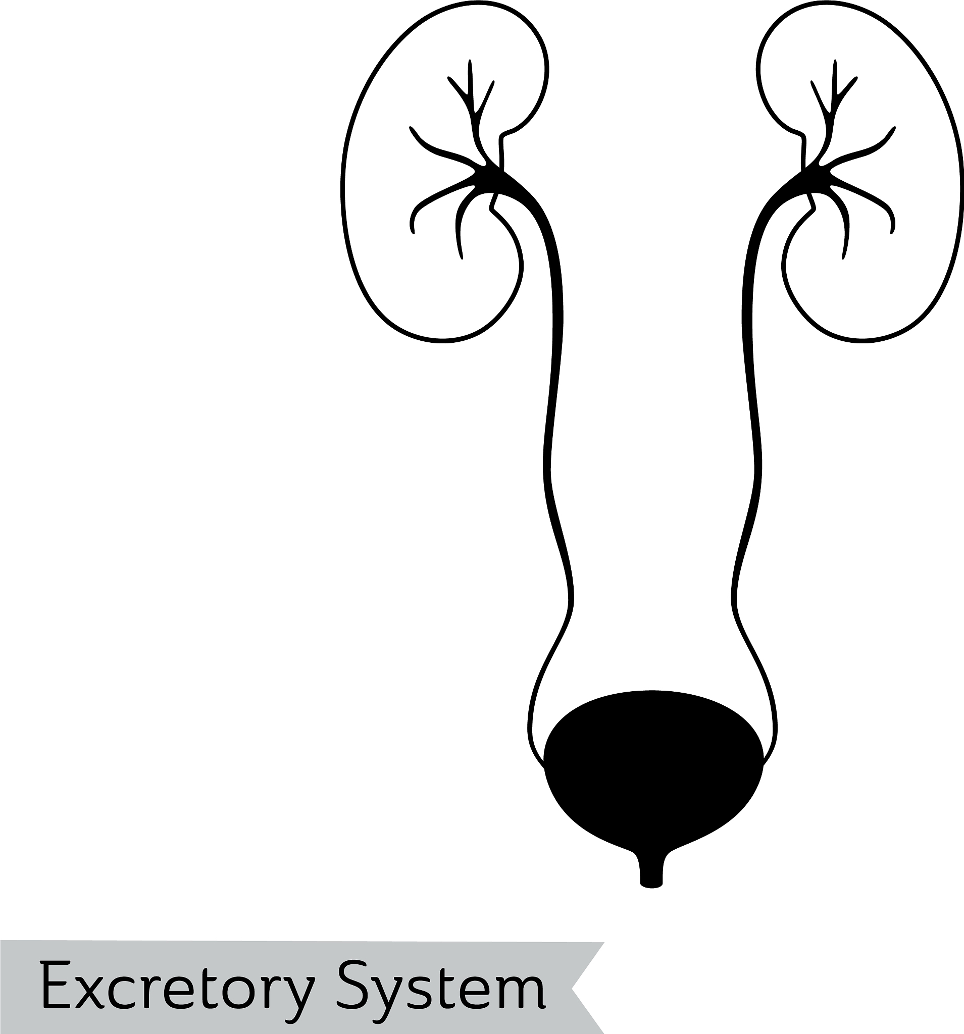 透析护理：流程、并发症及注意事项