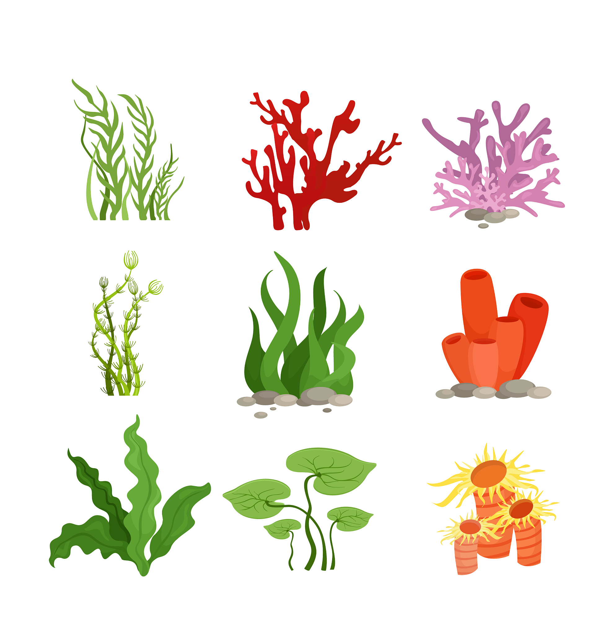 set of colourful water plants