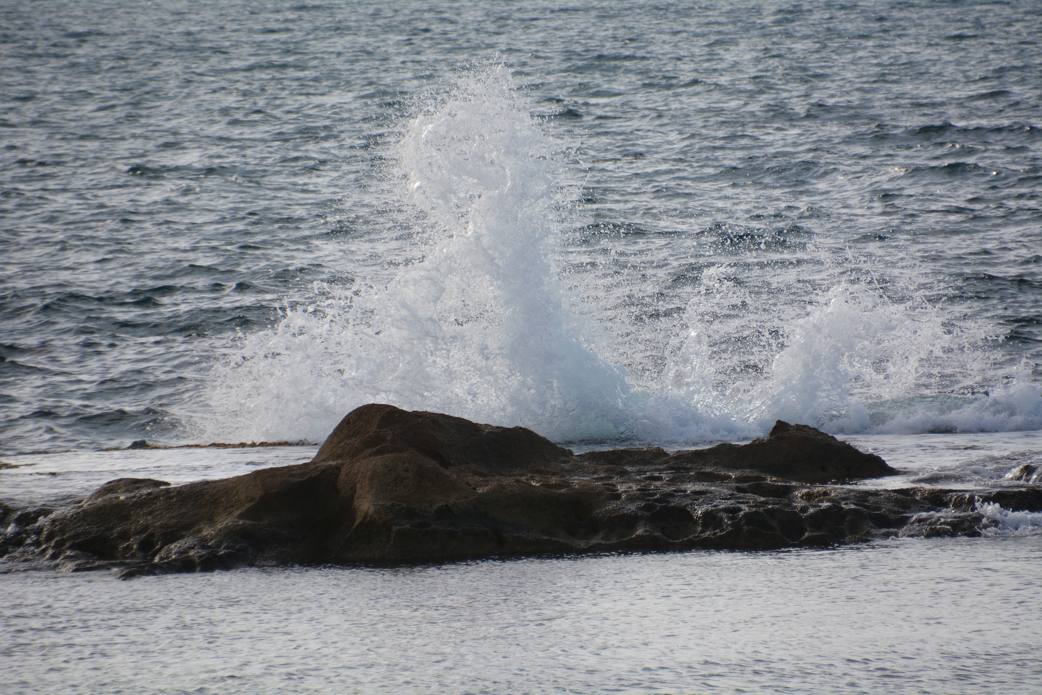 威海海洋职业学院好不好用发散