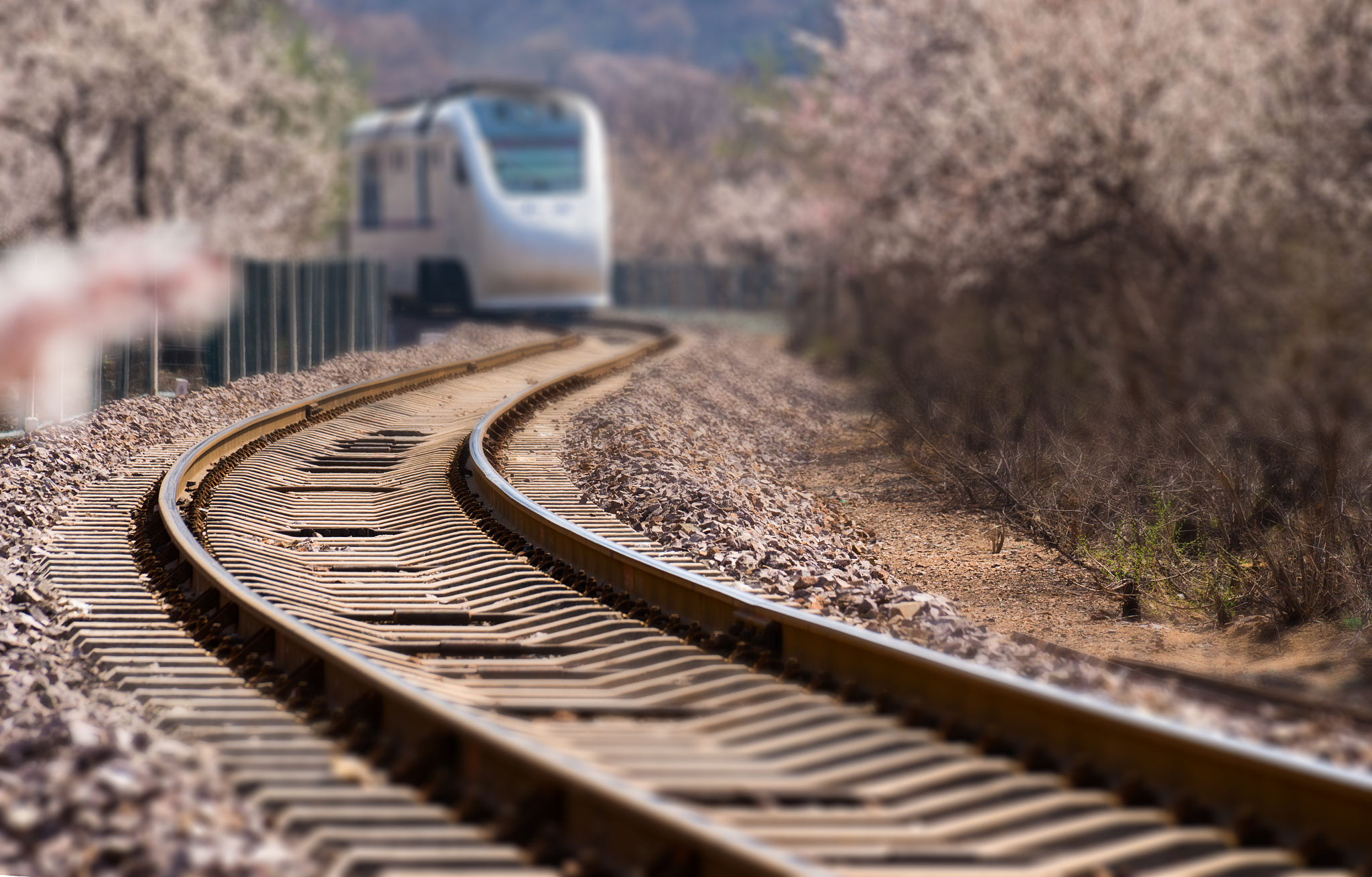 2022年务川中等职业学校焊接技术专业招生