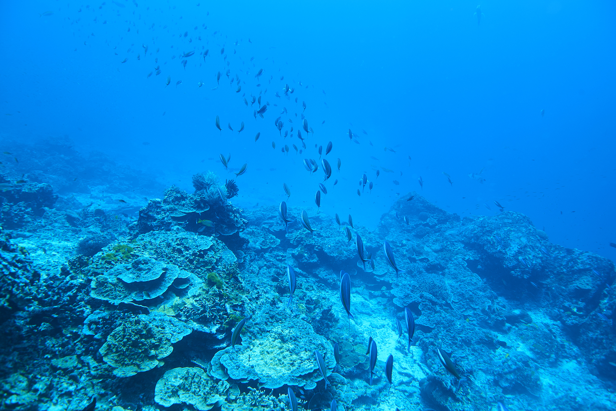 underwater