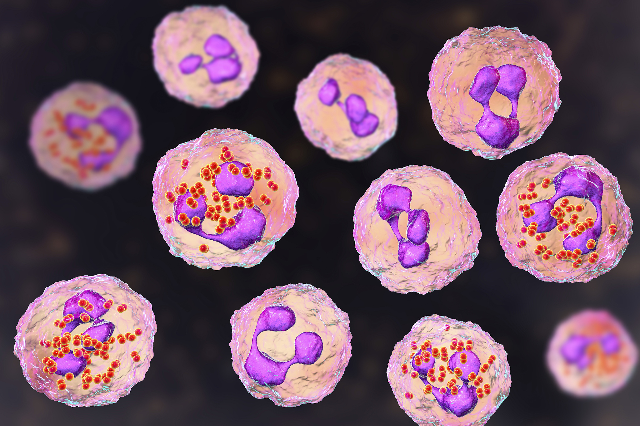 邢台冀南医学中等专业学校口腔修复工艺专业怎么样