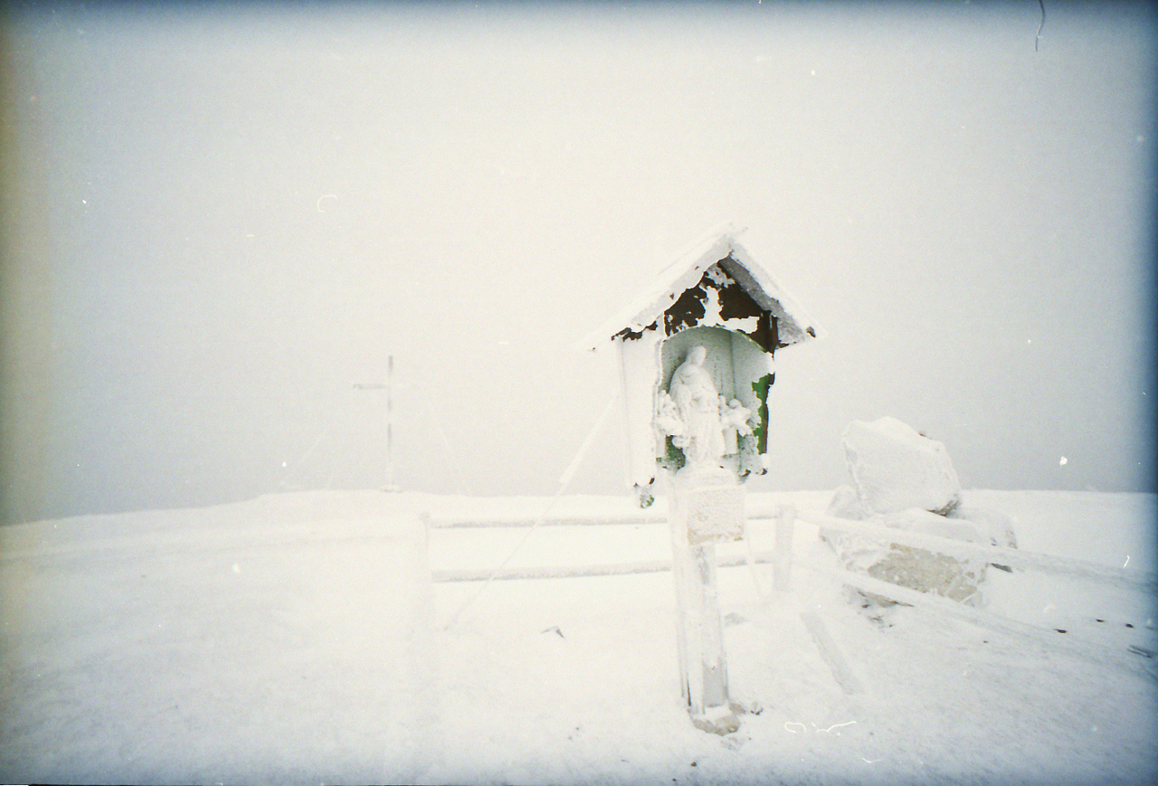 在《我的母亲》老舍散文中母亲是怎么样的人从哪里看出来