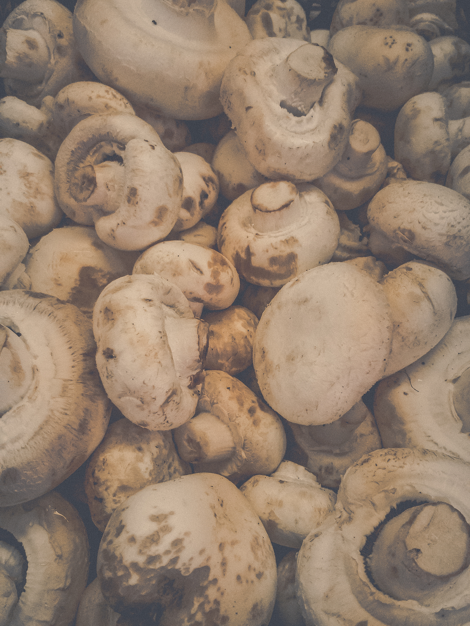 1 你是否喜欢吃炸蘑菇？A 是的我非常喜欢吃炸蘑菇。B 有时候会吃但不是我的最爱。C 不太喜欢但偶尔会尝试一下。D 不喜欢吃炸蘑菇。2 你觉得炸蘑菇的口感如何？A 口感鲜美外酥里嫩。B 口感一般但还是很好吃。C 口感不是很好吃起来比较油腻。D 口感不好我不喜欢吃。3 你通常在哪里购买炸蘑菇？A 在超市买现成的炸蘑菇。B