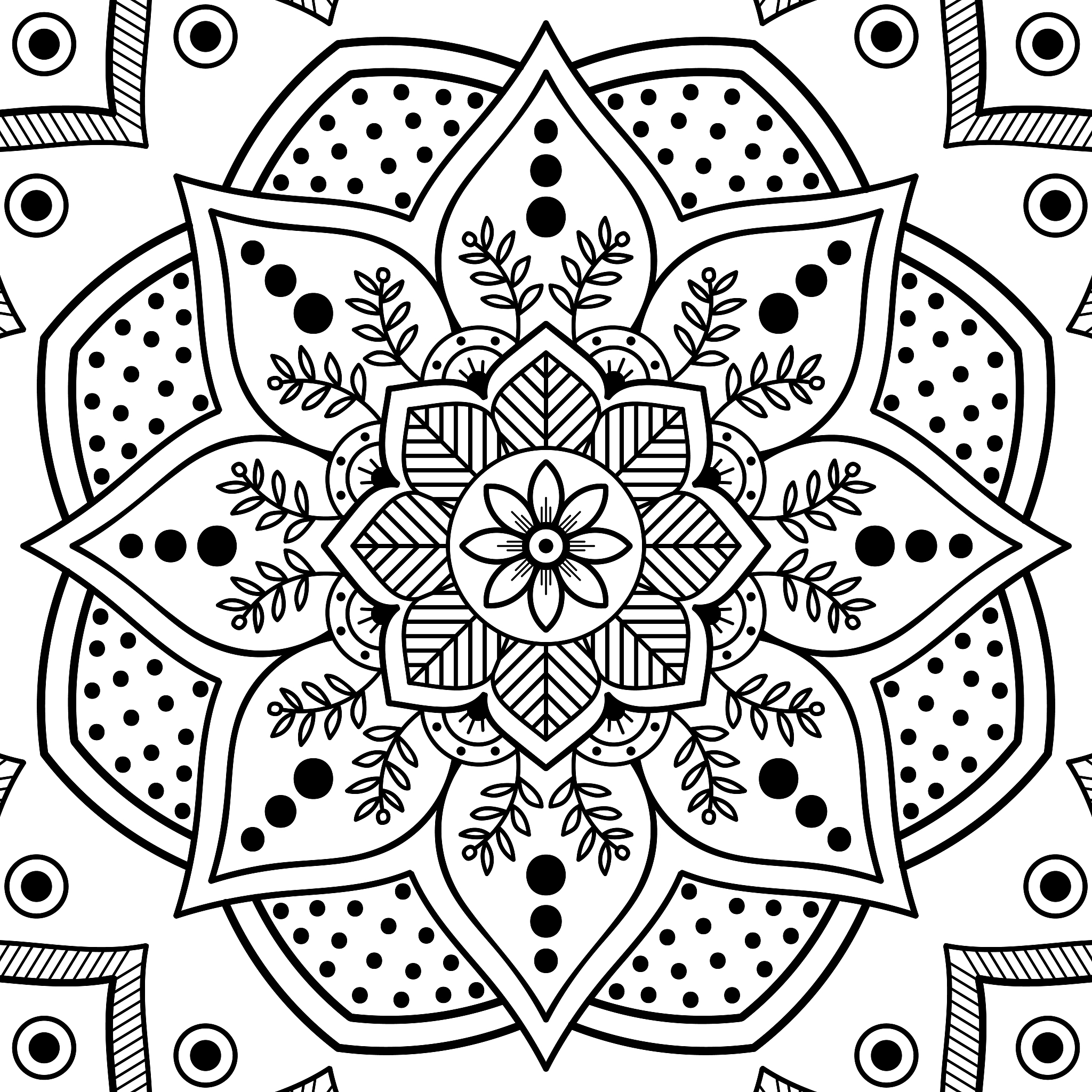 阿拉伯文化课之我见