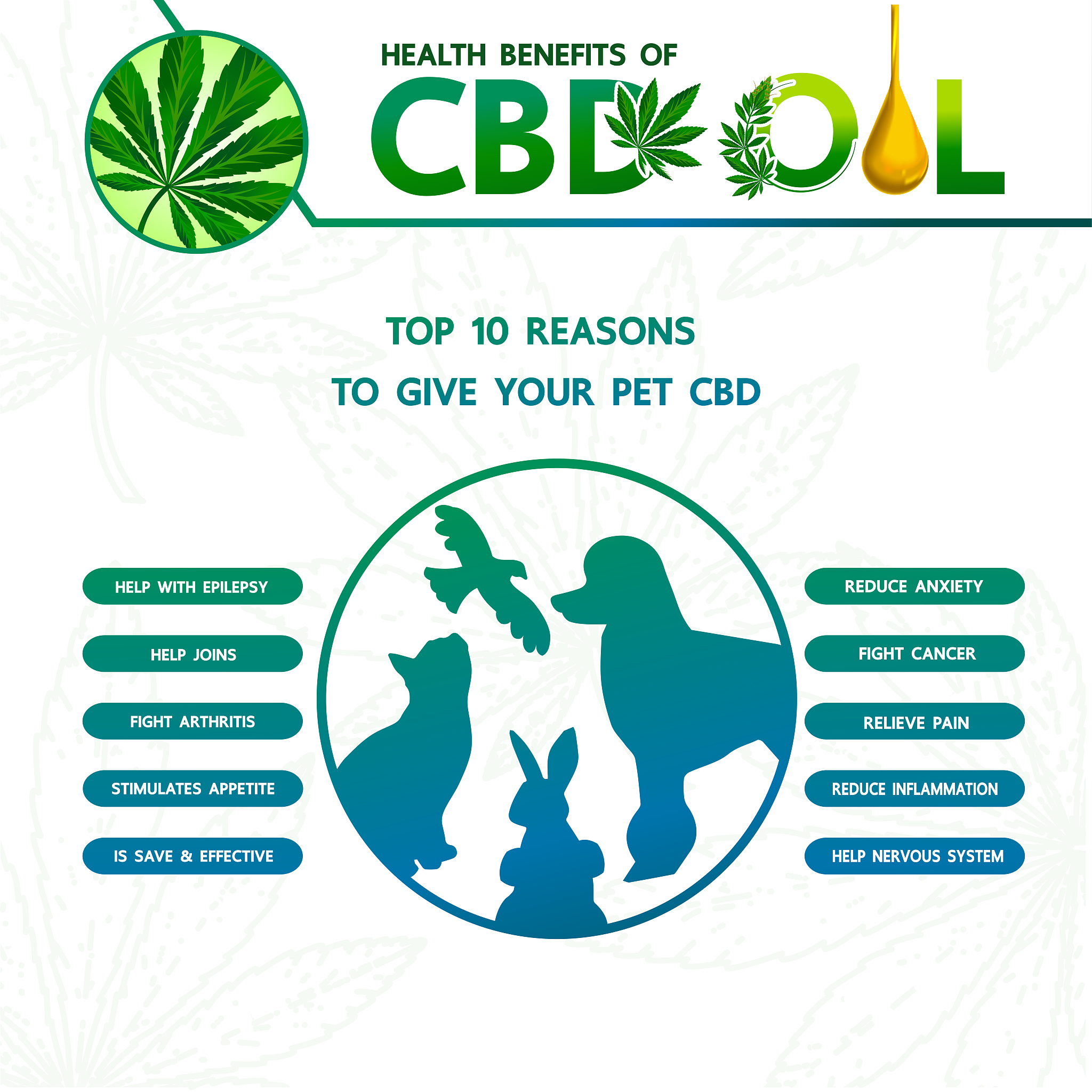 枣庄职业学院动物医学专业就业前景和教学质量分析