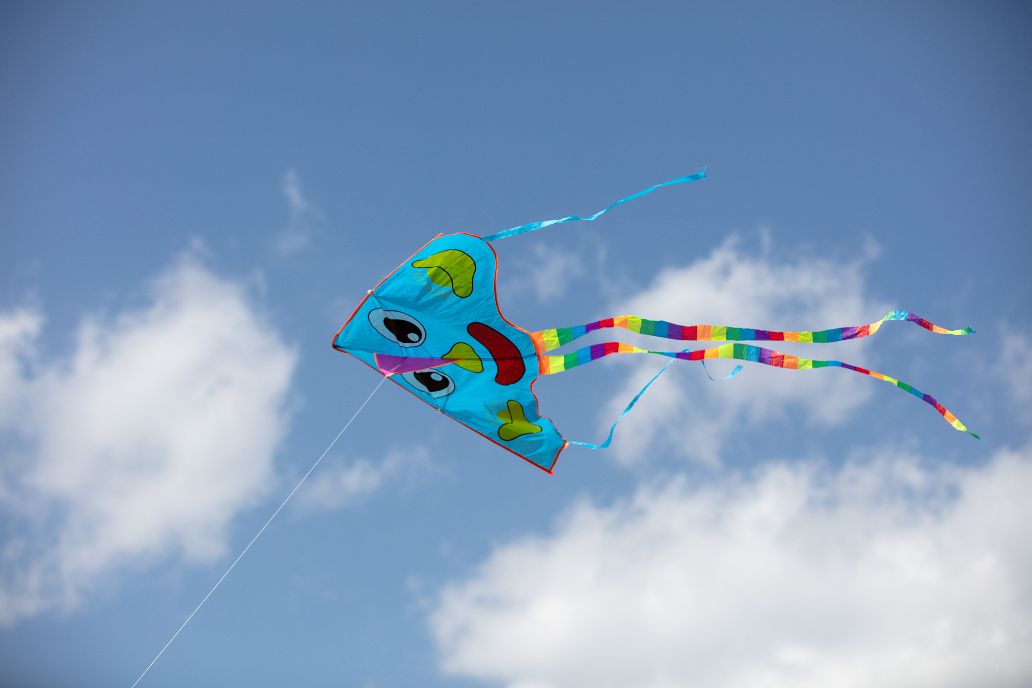 kite in the sky