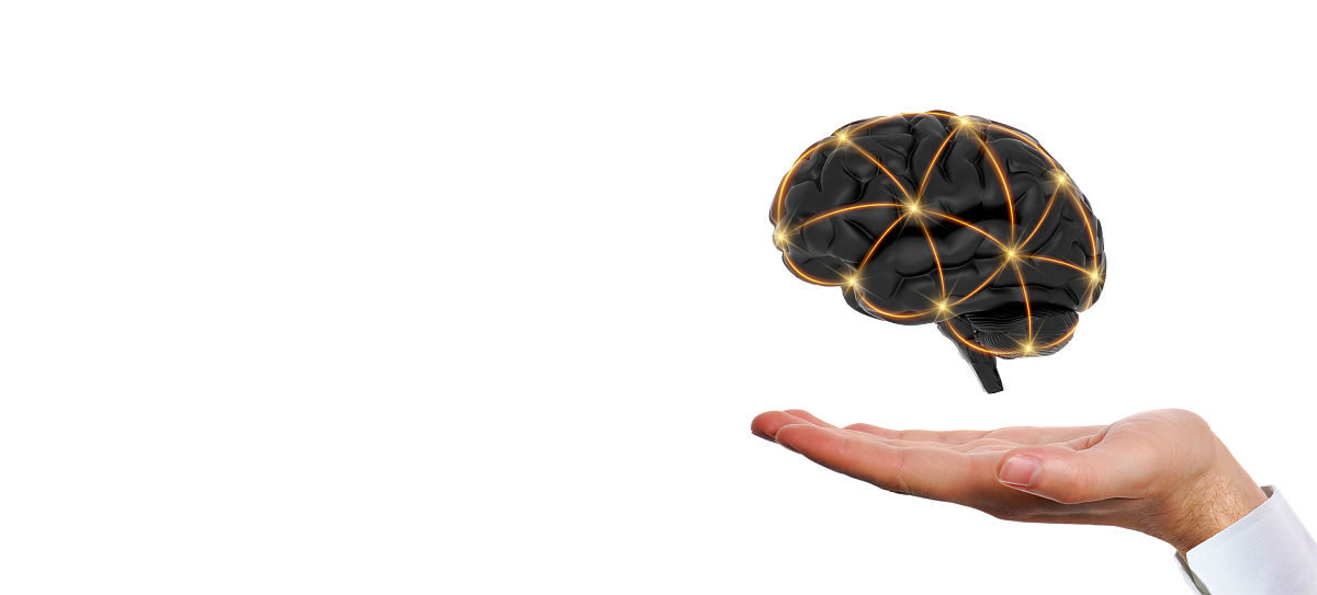 双滦职教中心2022年招生专业