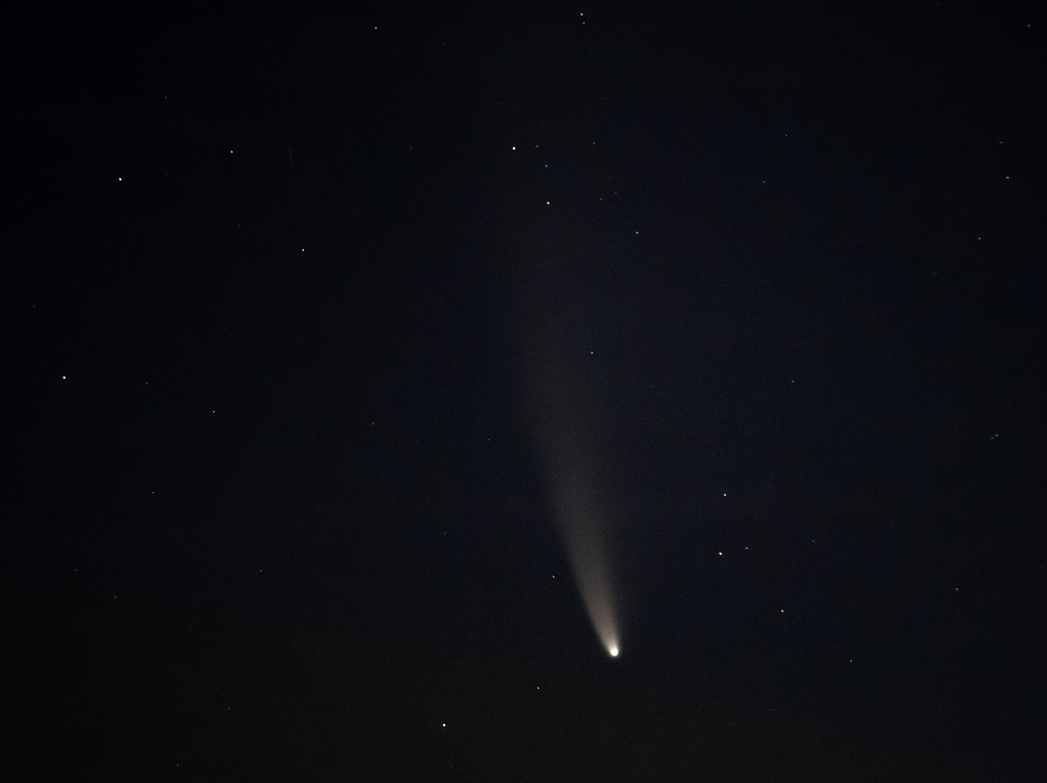 c/2020 f3 neowise comet