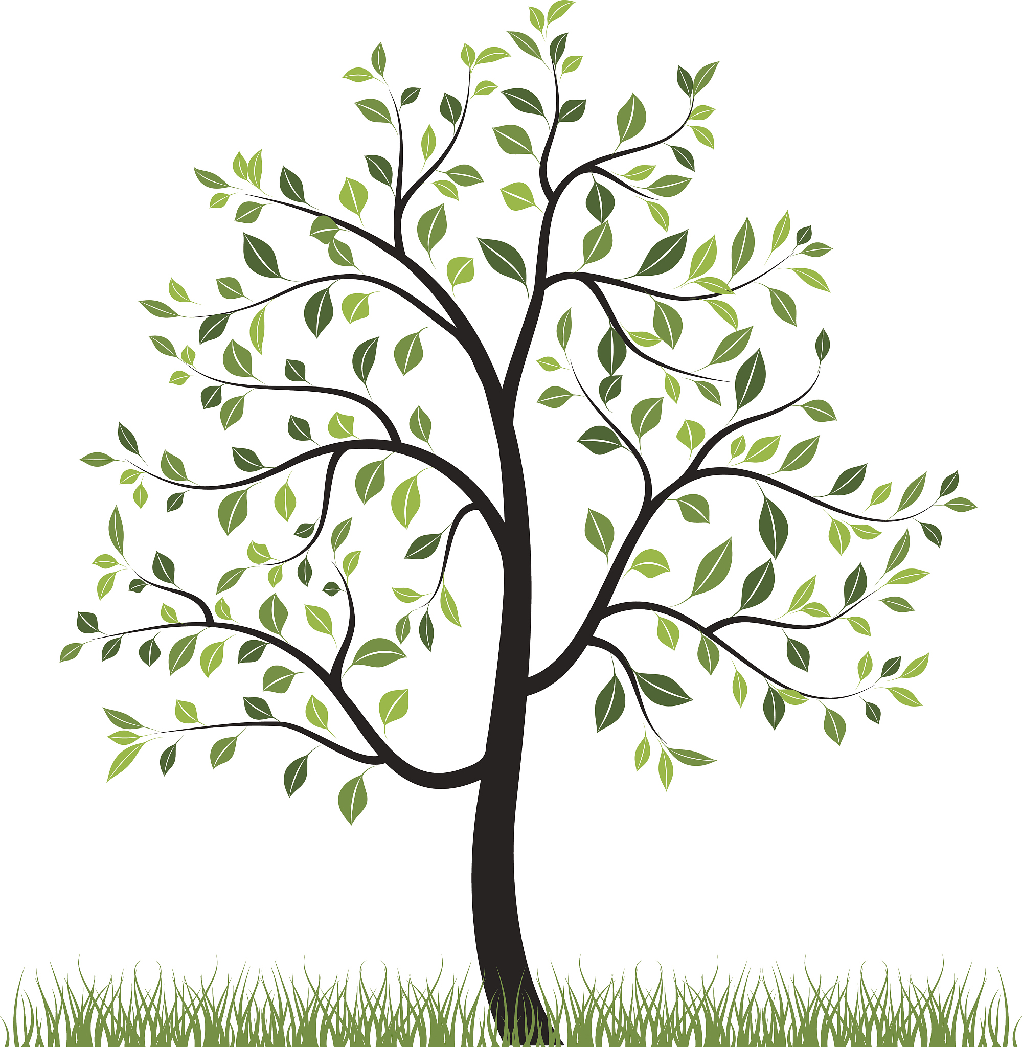 spring tree