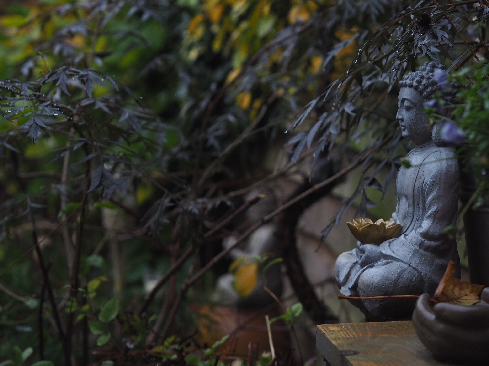 close-up of buddha statue by plants