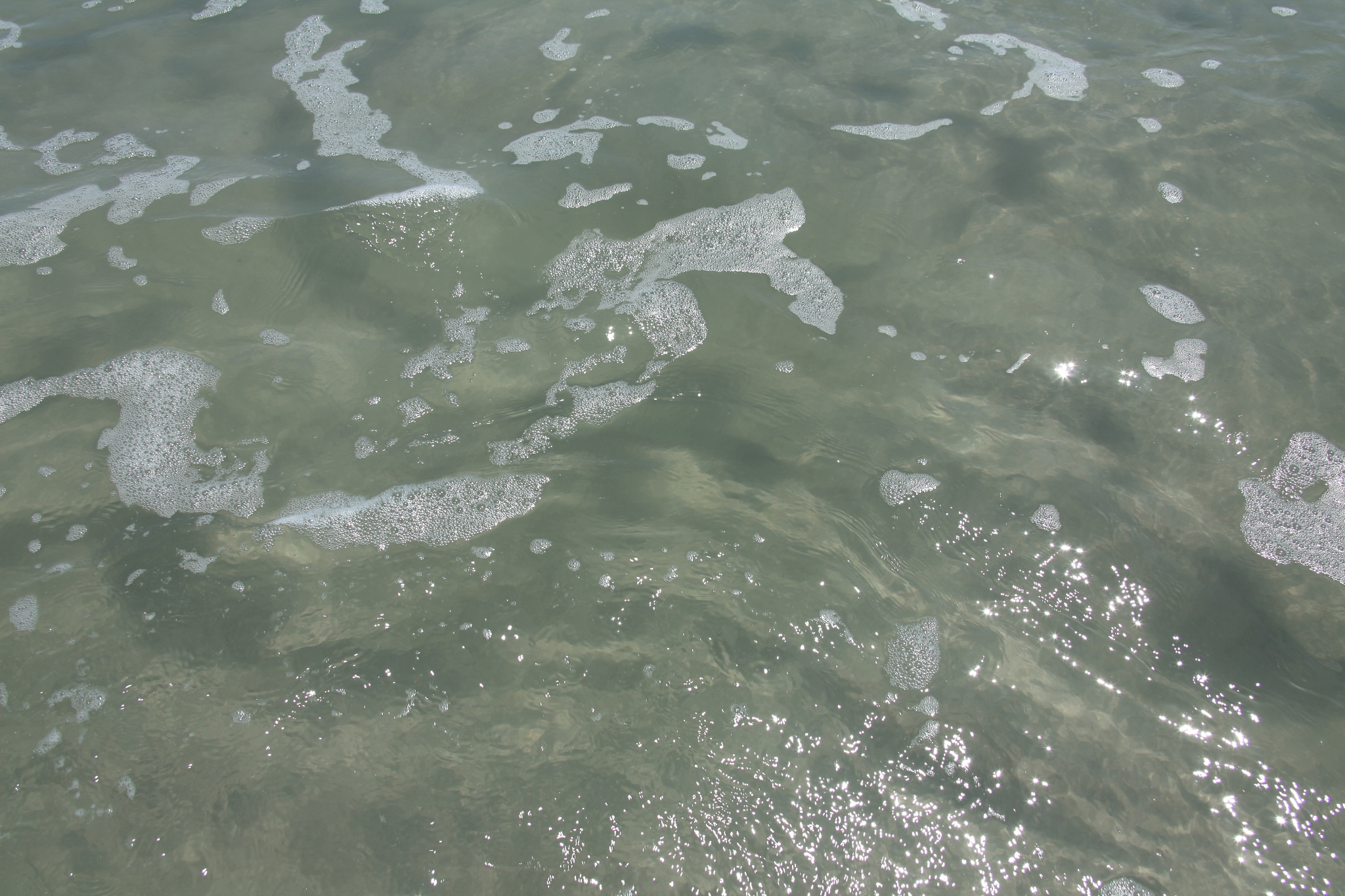 water background