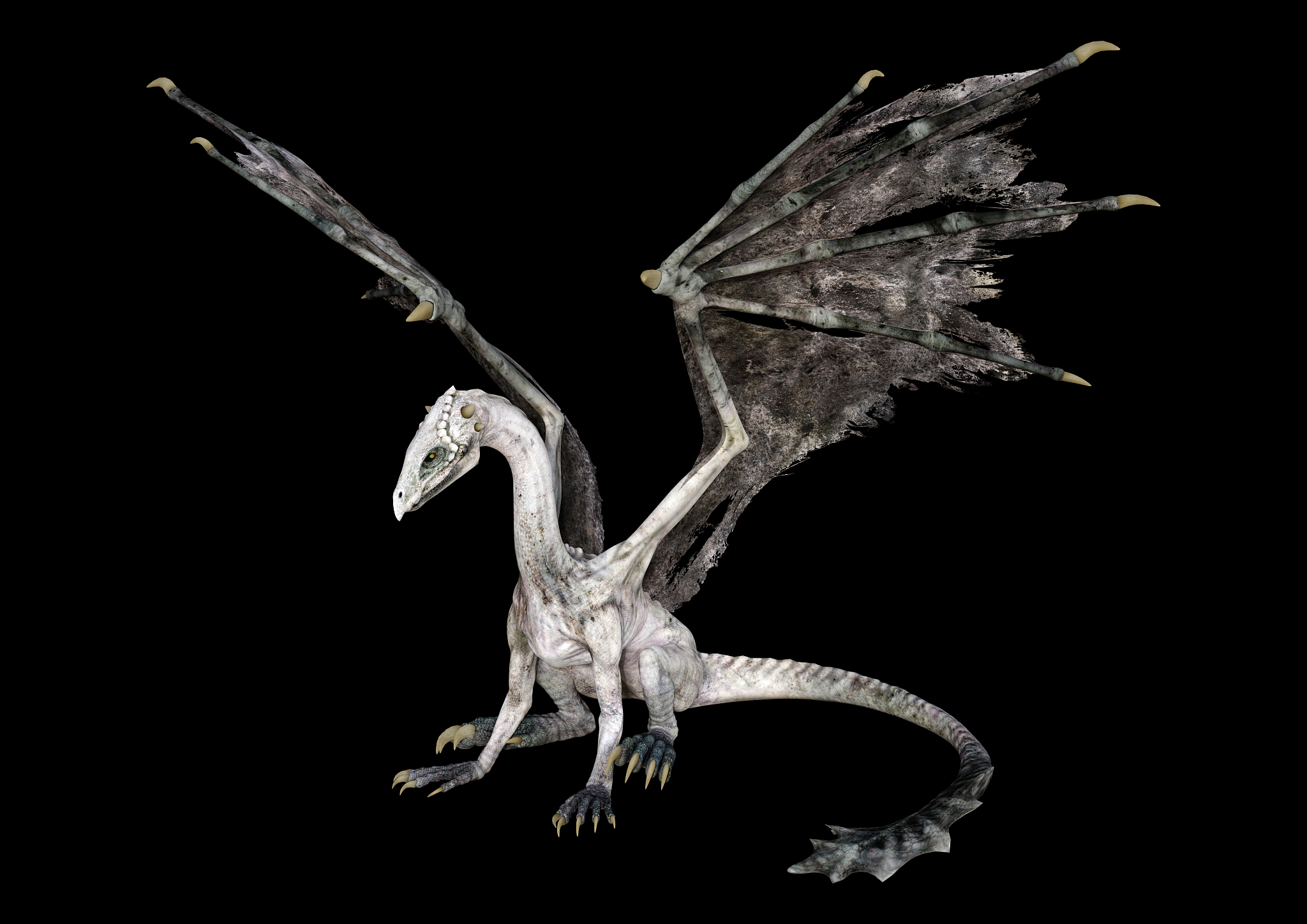 3d illustration fantasy dragon on black
