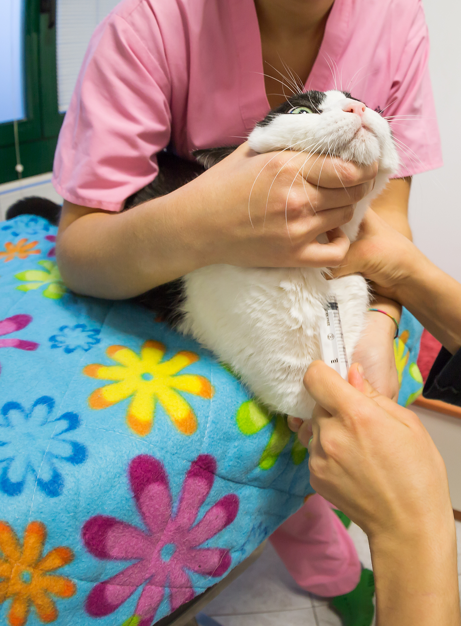 重庆市育才职业教育中心畜牧兽医专业课程设置-学什么-就业前景