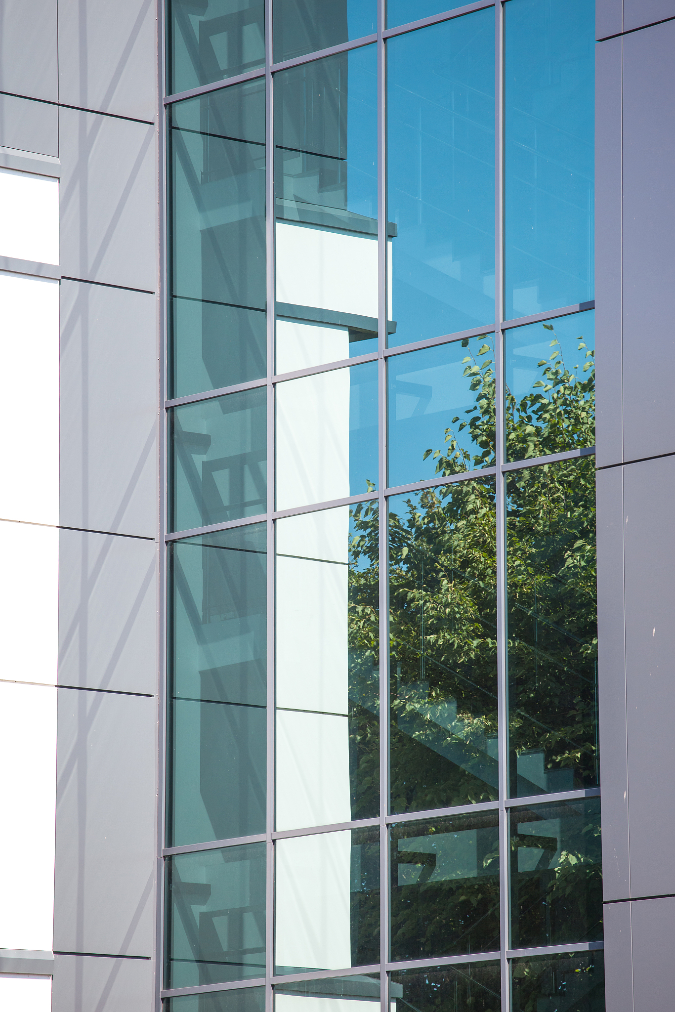 windows of a modern building