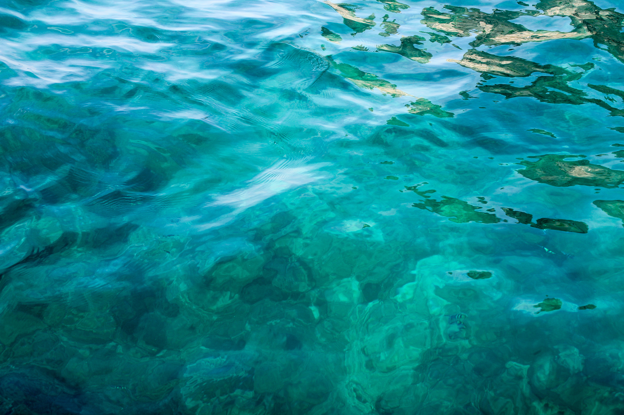 blue ocean