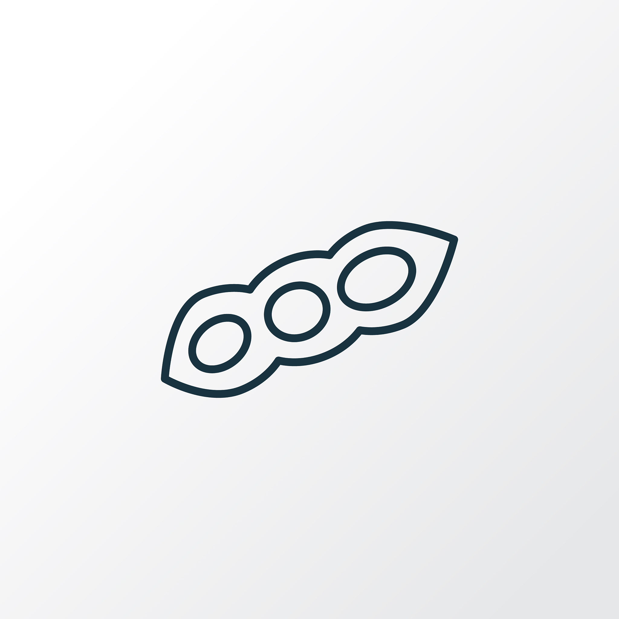 大豆品质与产品品质关系参考内容